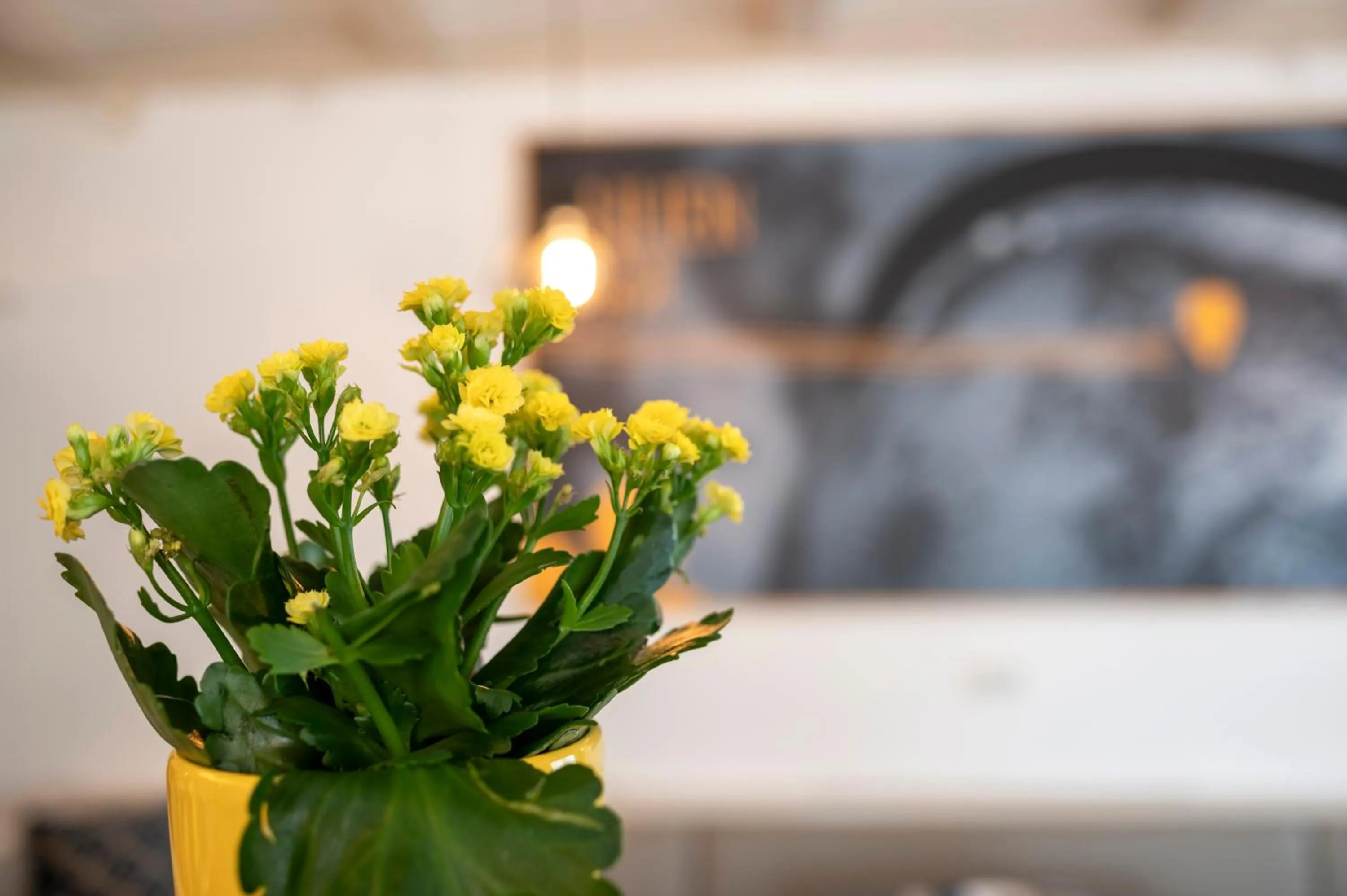 Breakfast in Salzburg Hotel Lilienhof