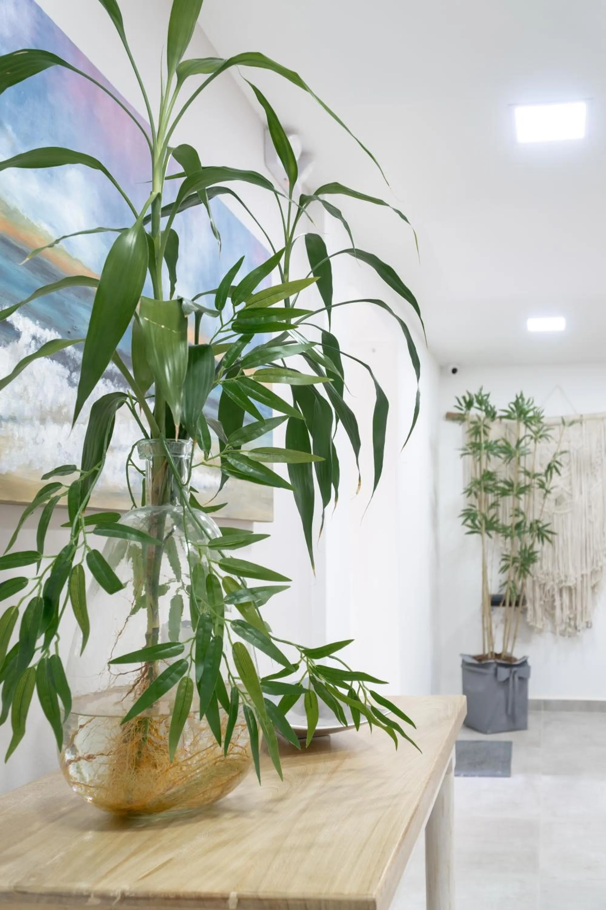 Other in Hotel Bambu Milla De Oro