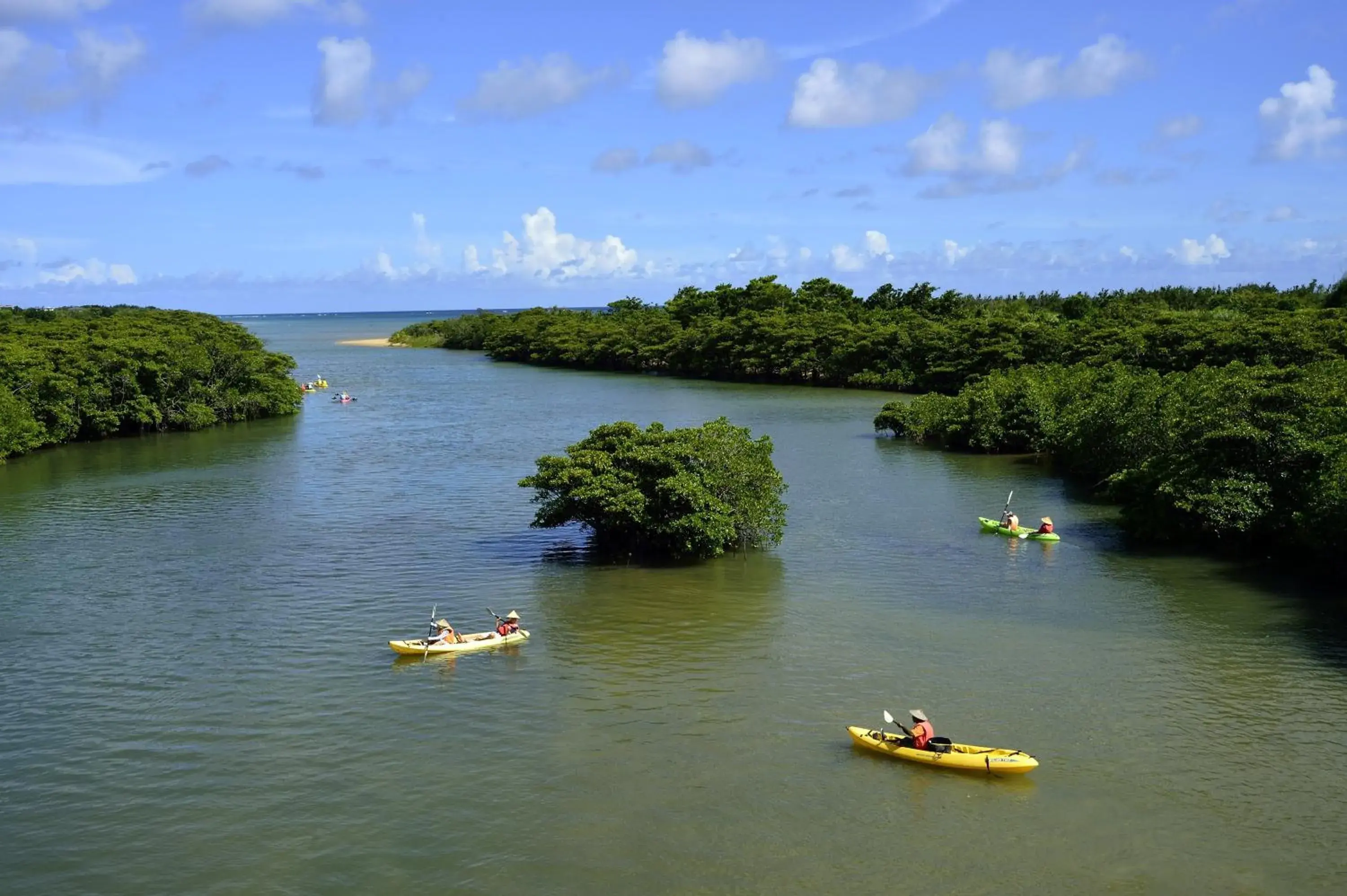 Natural landscape in EXES Ishigaki Natural landscape in EXES Ishigaki