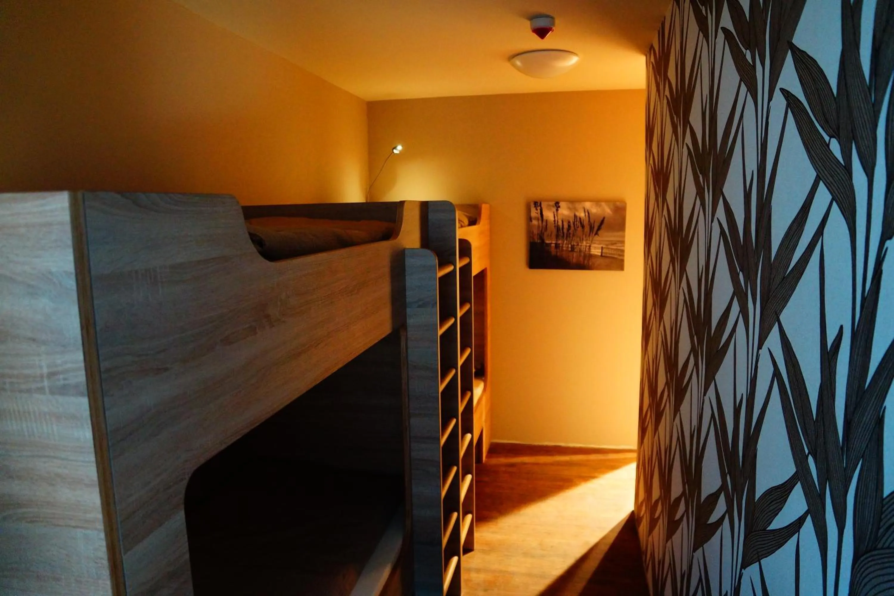 Bed in Bavaria City Hostel - Design Hostel