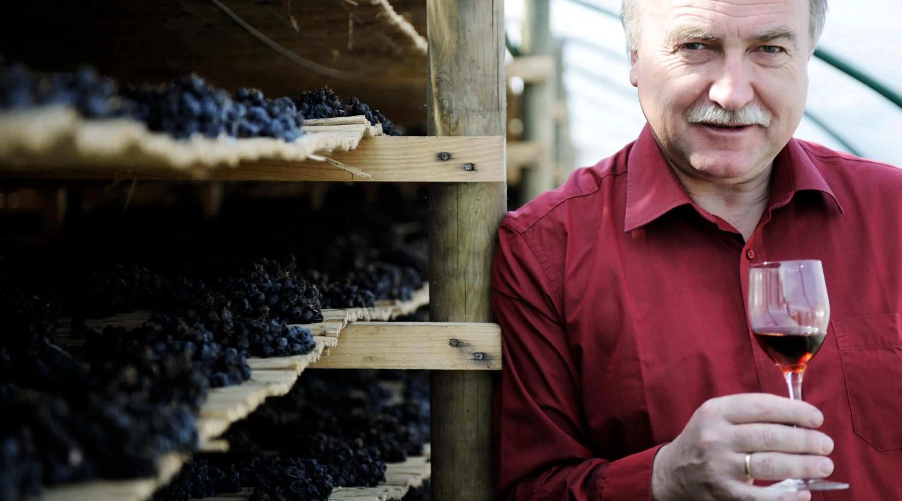 Area and facilities in Hotel Zur Post