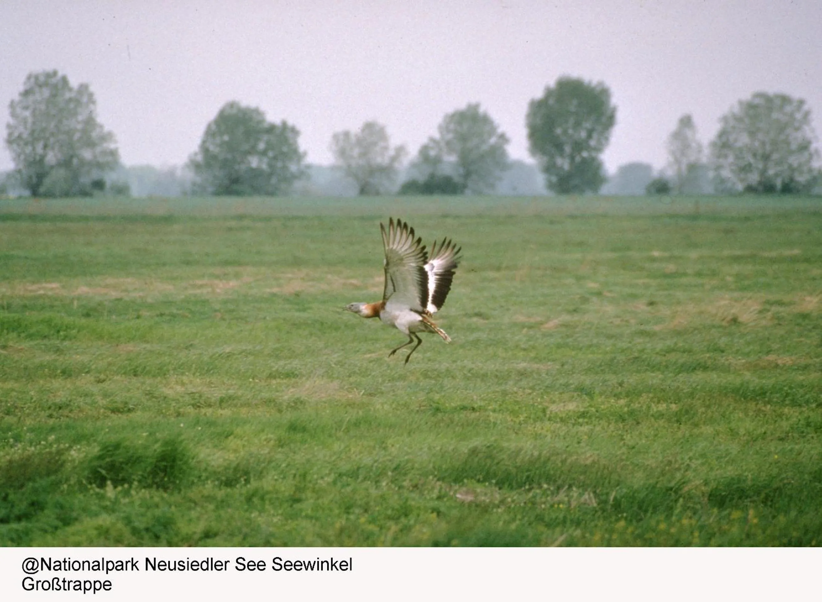 Other in Hotel Zur Post