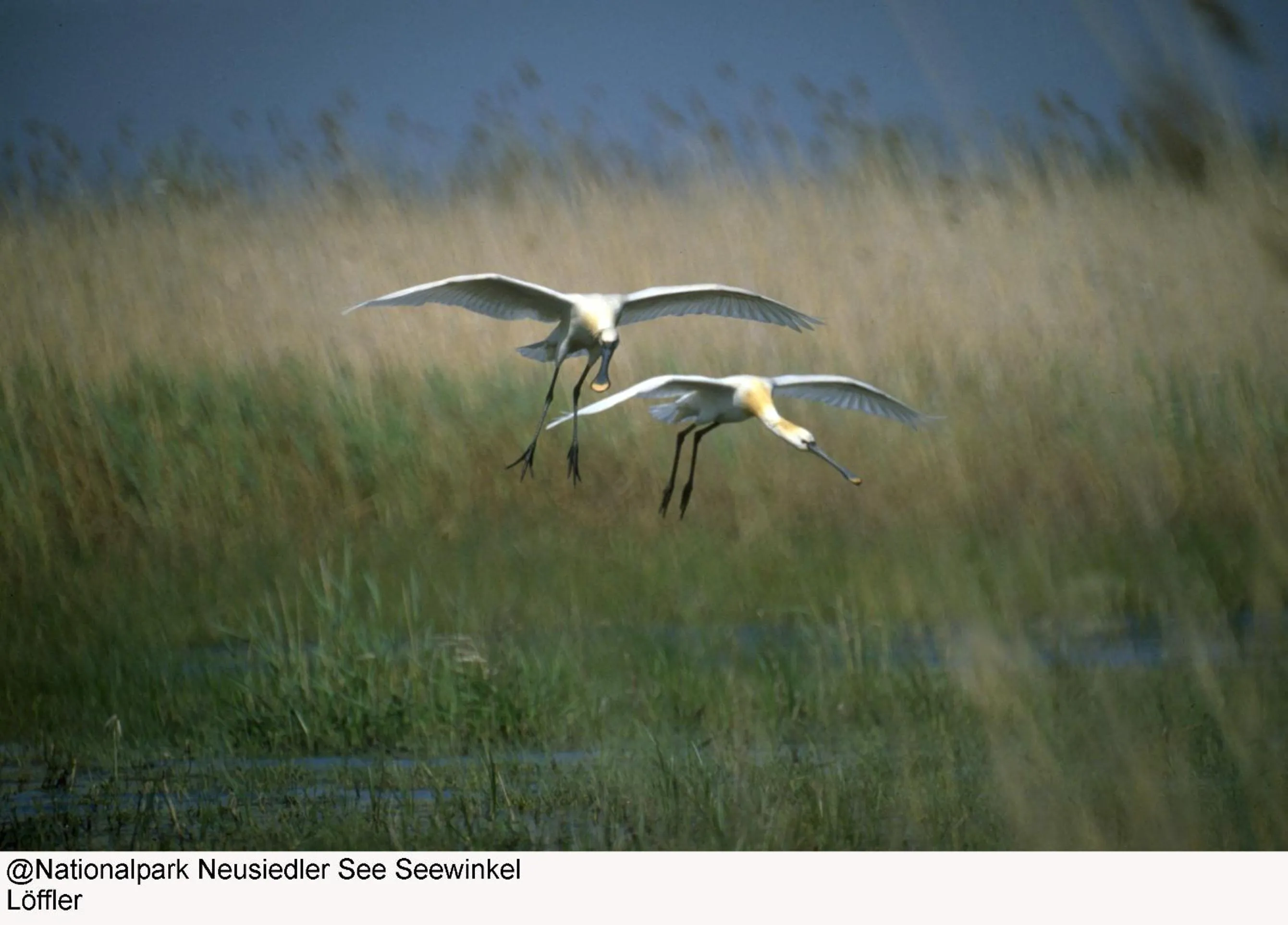 Other in Hotel Zur Post