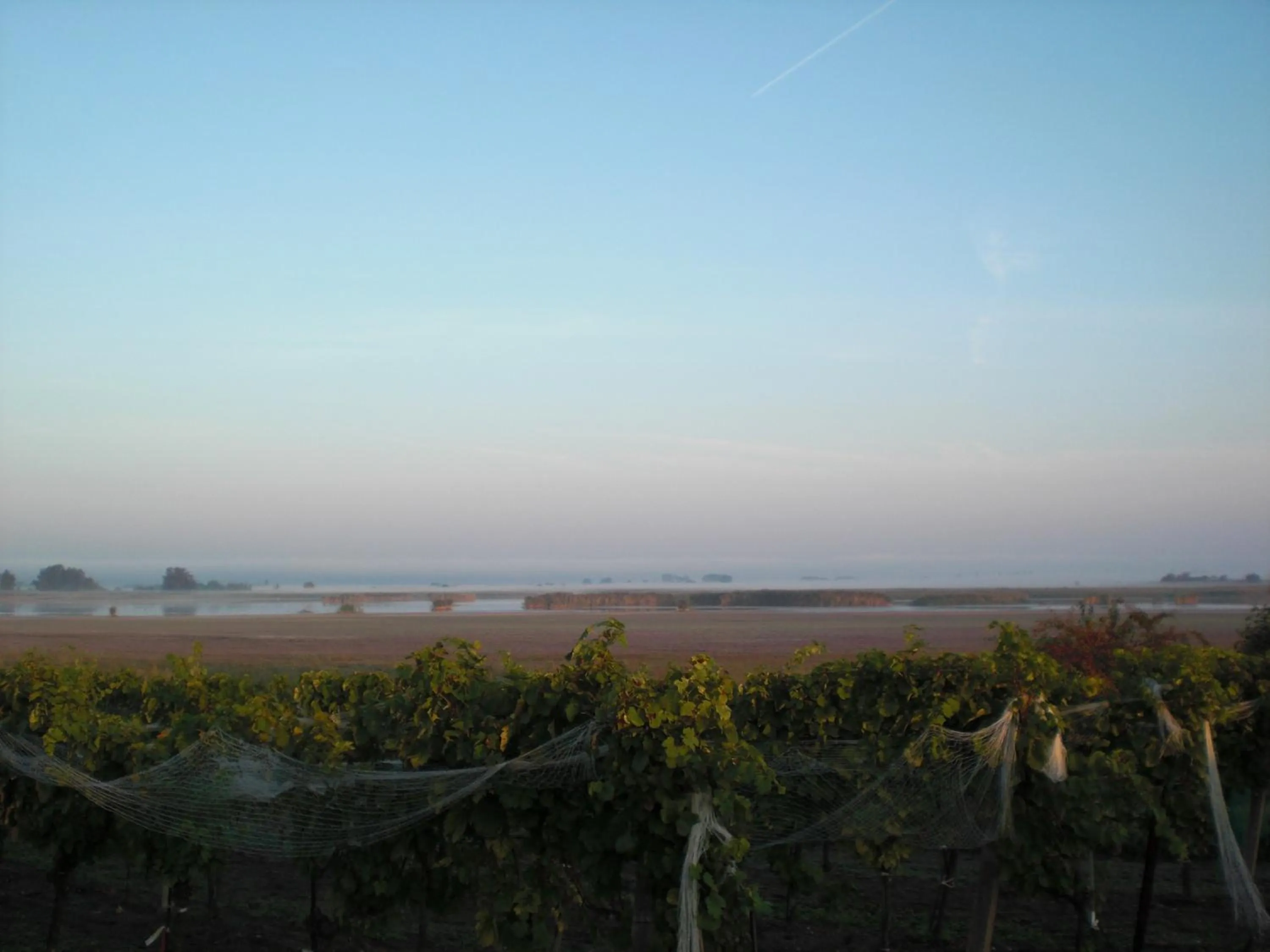 Area and facilities in Hotel Zur Post