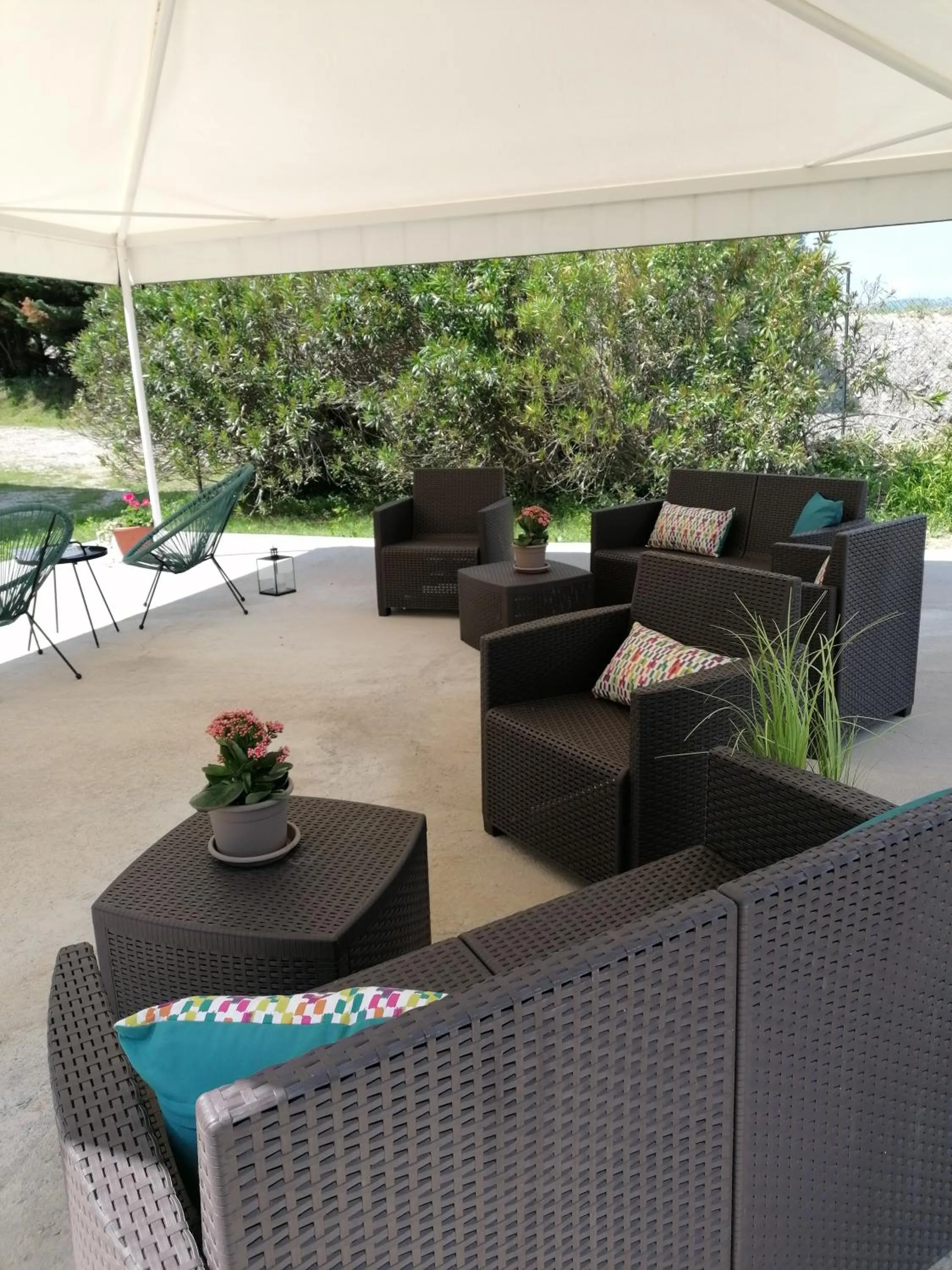 Balcony/Terrace in AGRITURISMO COLOMBARE TEBOI