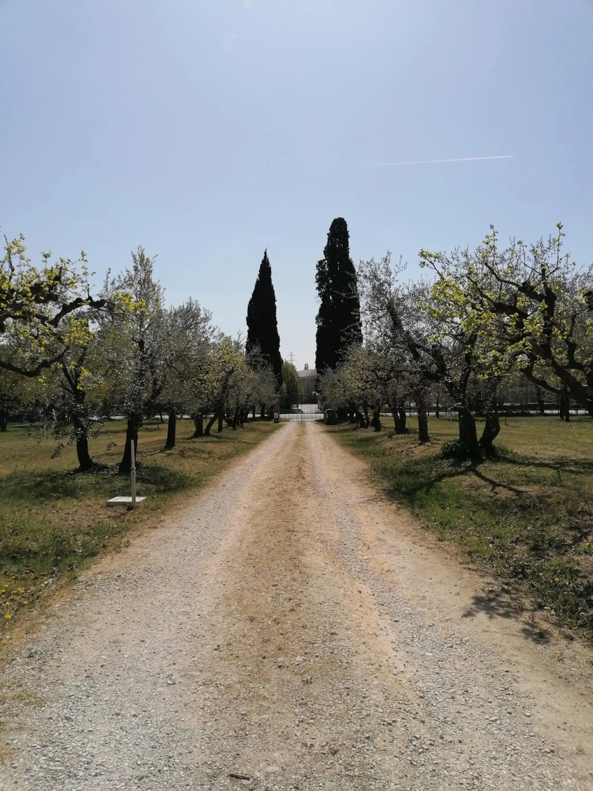 Street view in AGRITURISMO COLOMBARE TEBOI