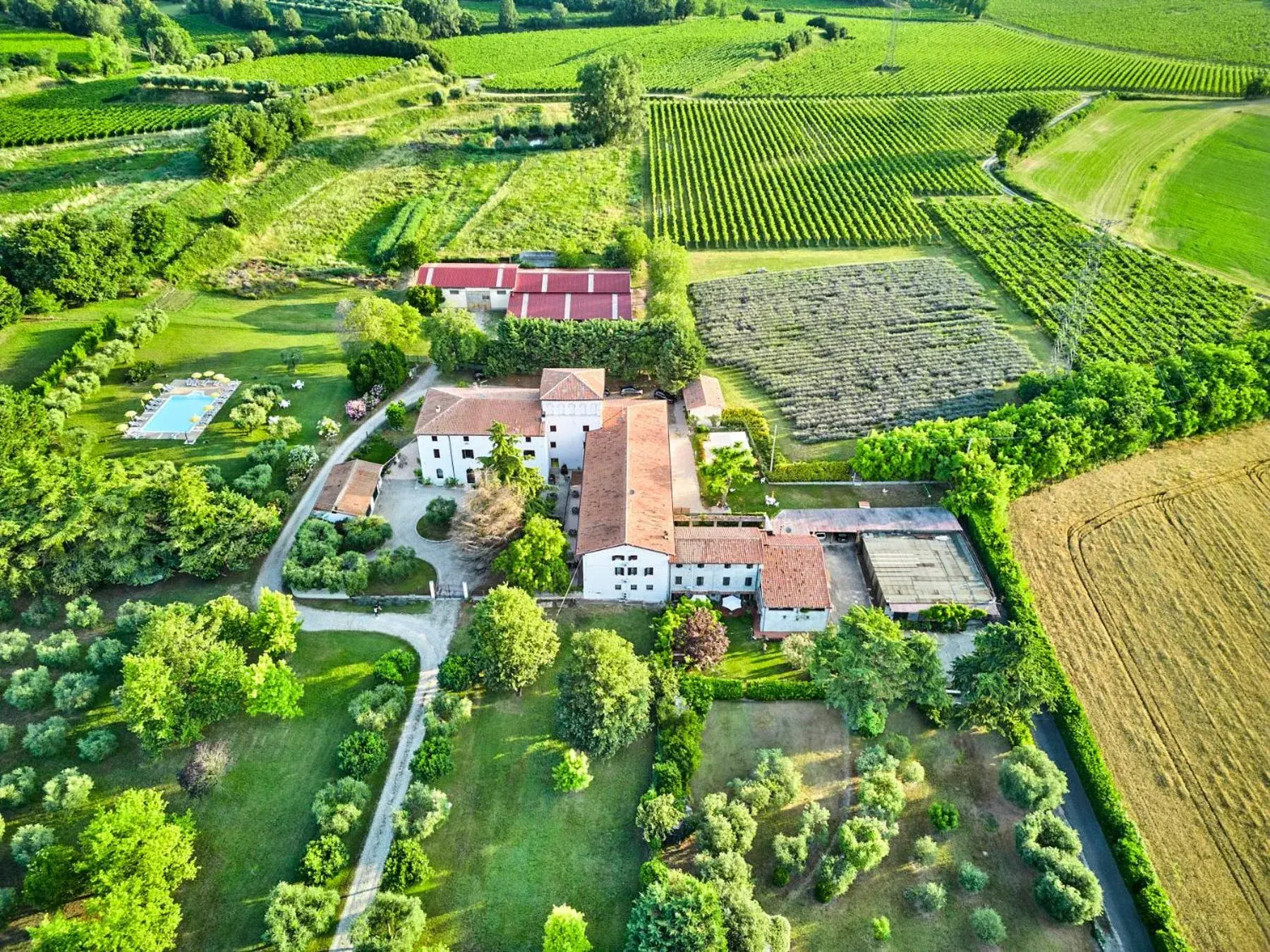 AGRITURISMO COLOMBARE TEBOI AGRITURISMO COLOMBARE TEBOI