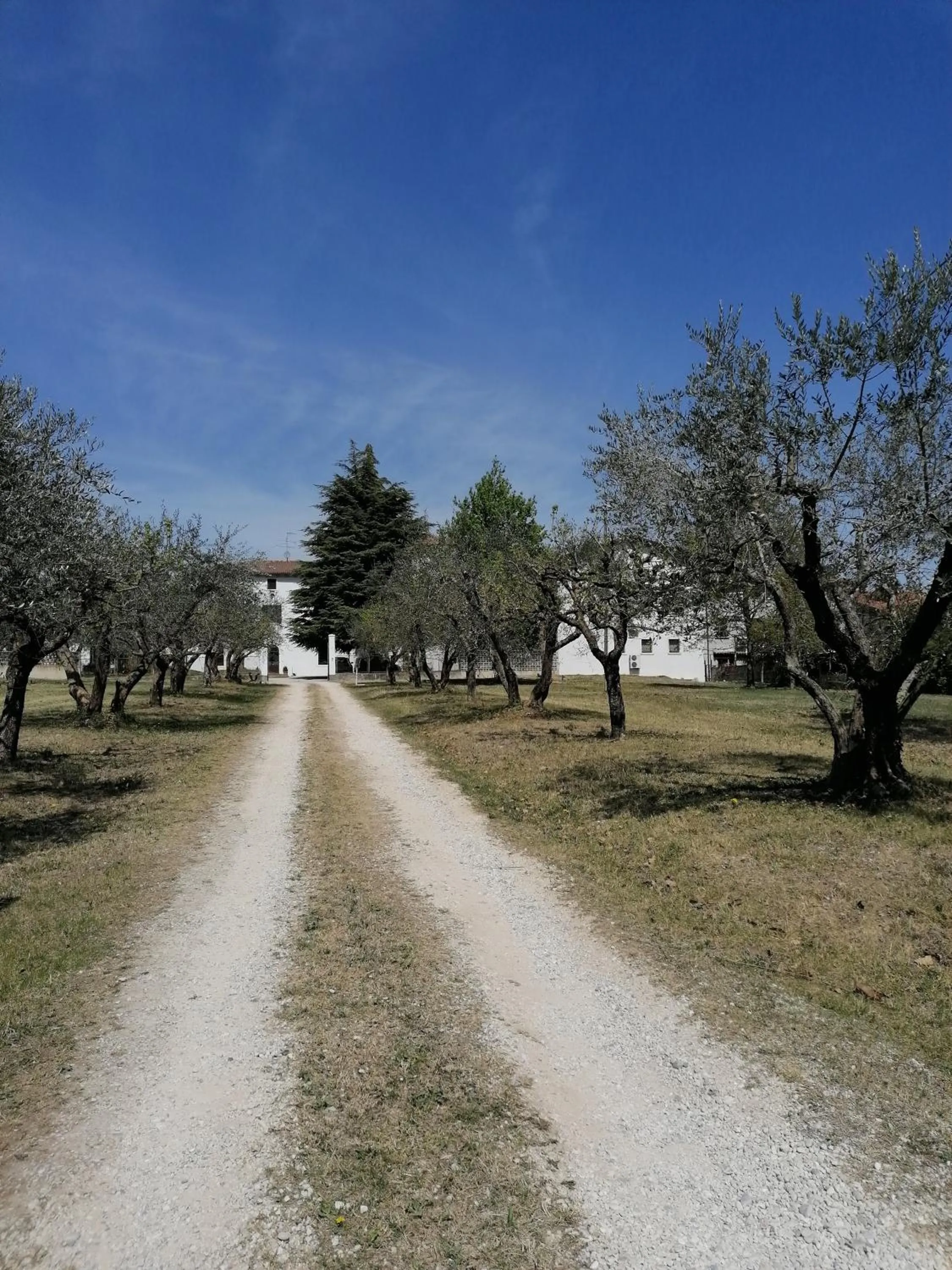 Property building in AGRITURISMO COLOMBARE TEBOI