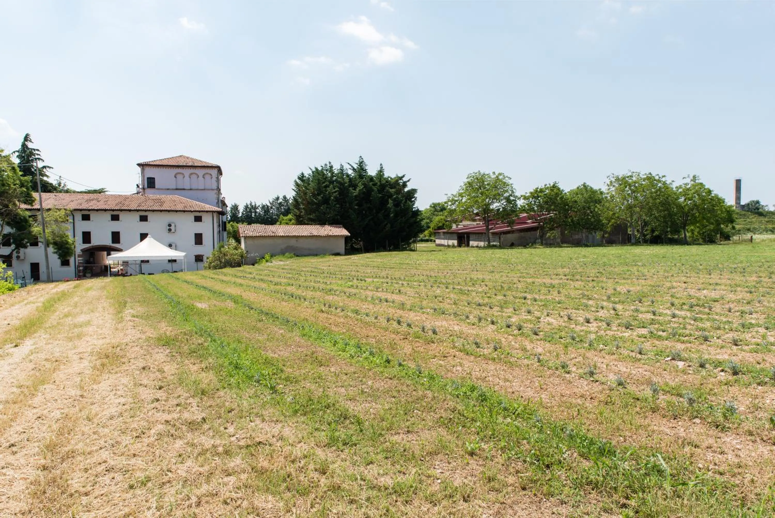 Summer in AGRITURISMO COLOMBARE TEBOI
