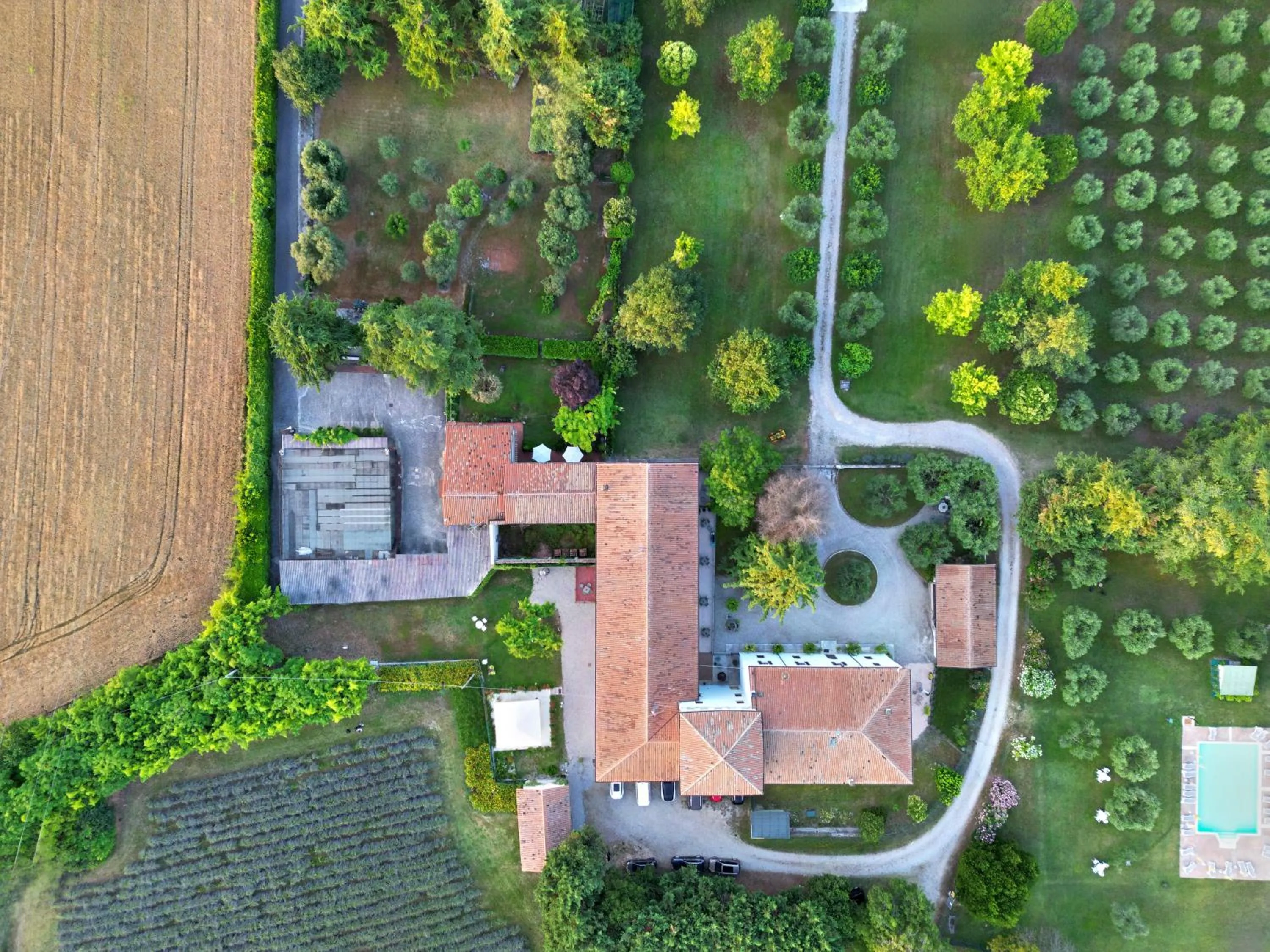 Photo of the whole room in AGRITURISMO COLOMBARE TEBOI