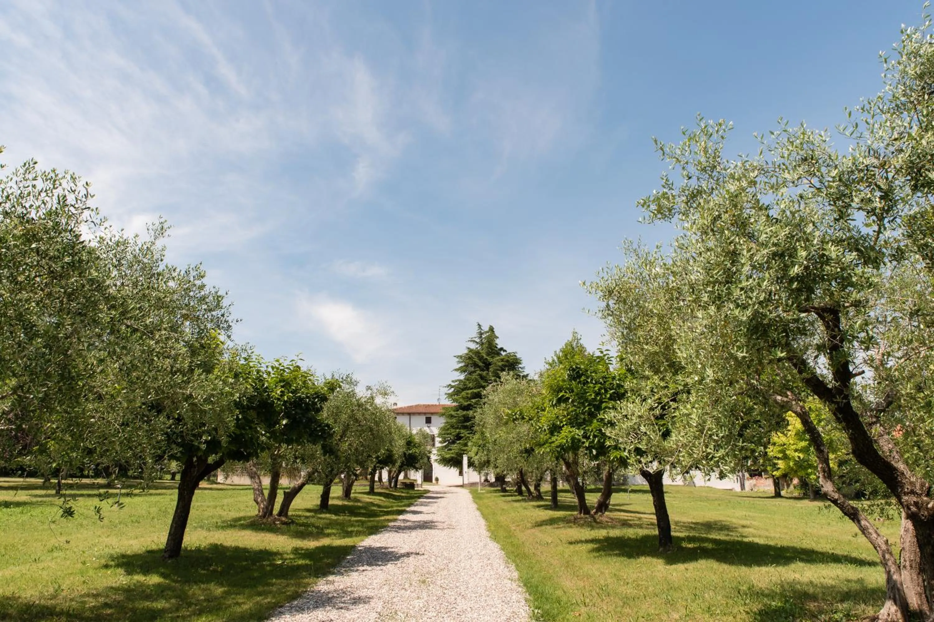 Facade/entrance in AGRITURISMO COLOMBARE TEBOI