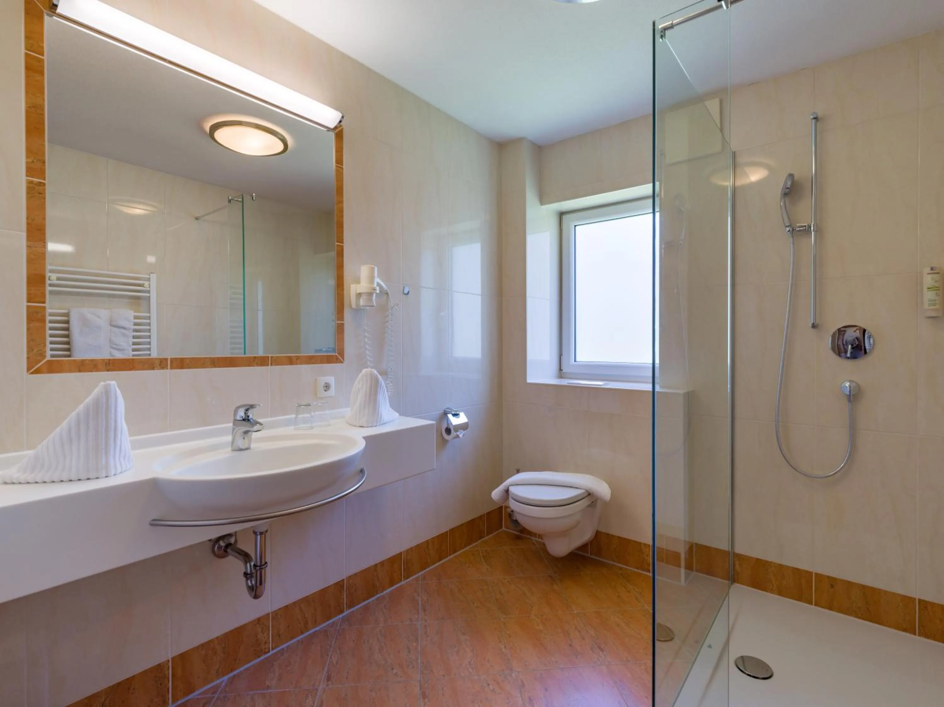 Shower in Hotel Alpenpanorama