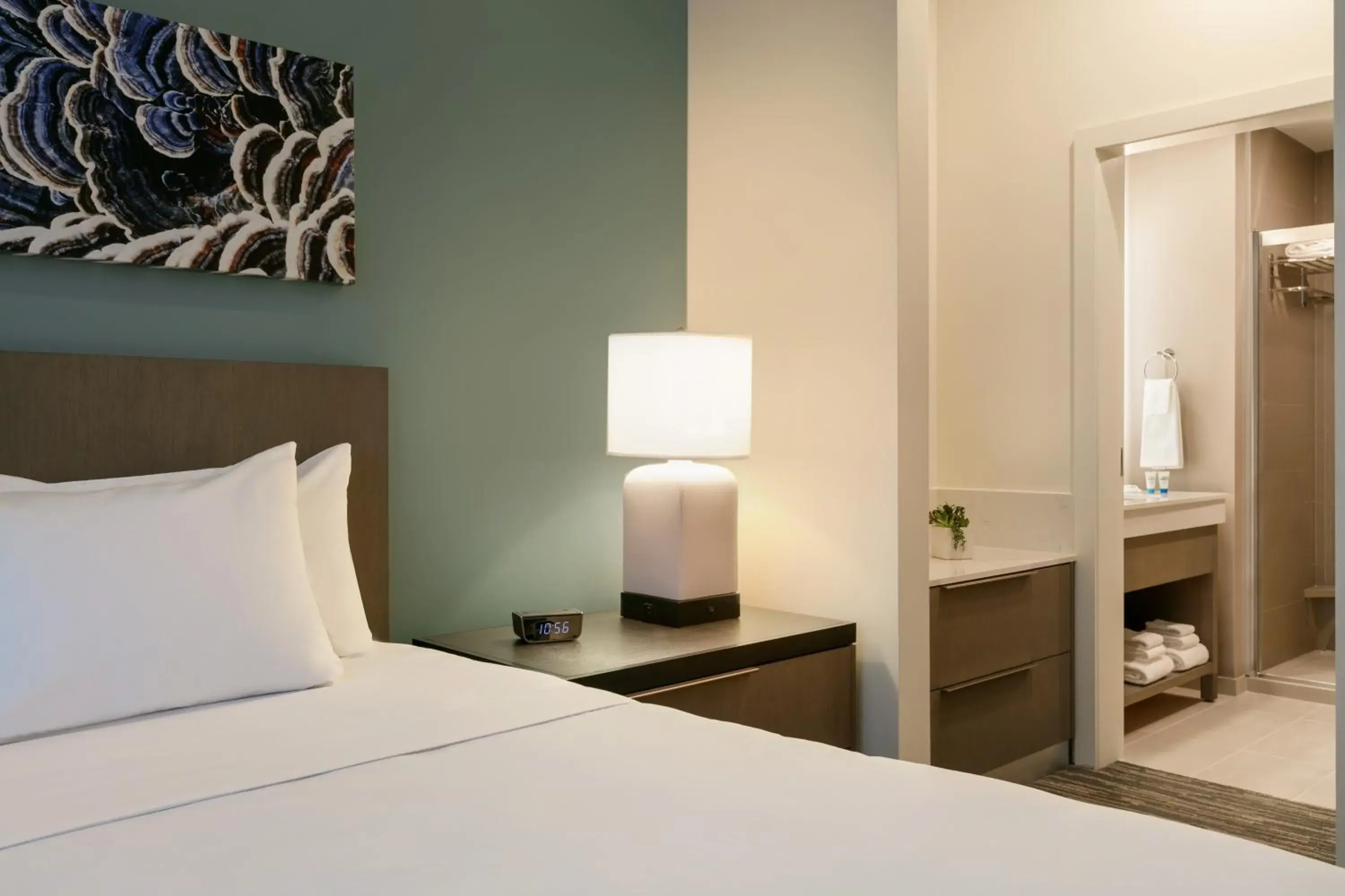 One-Bedroom King Suite with Sofa Bed and Kitchen in Hyatt House Atlanta Perimeter Center One-Bedroom King Suite with Sofa Bed and Kitchen in Hyatt House Atlanta Perimeter Center