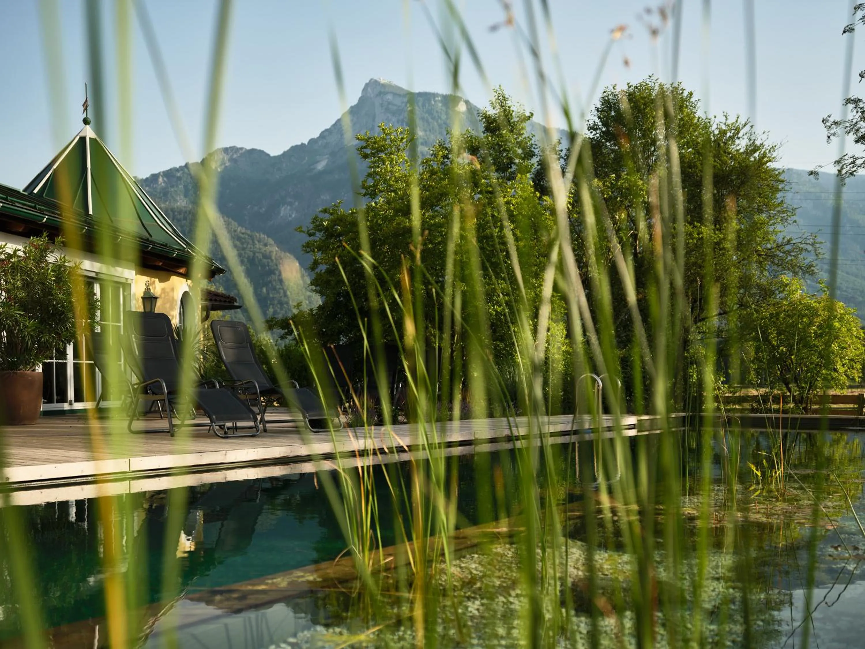 Swimming pool in Bloberger Hof