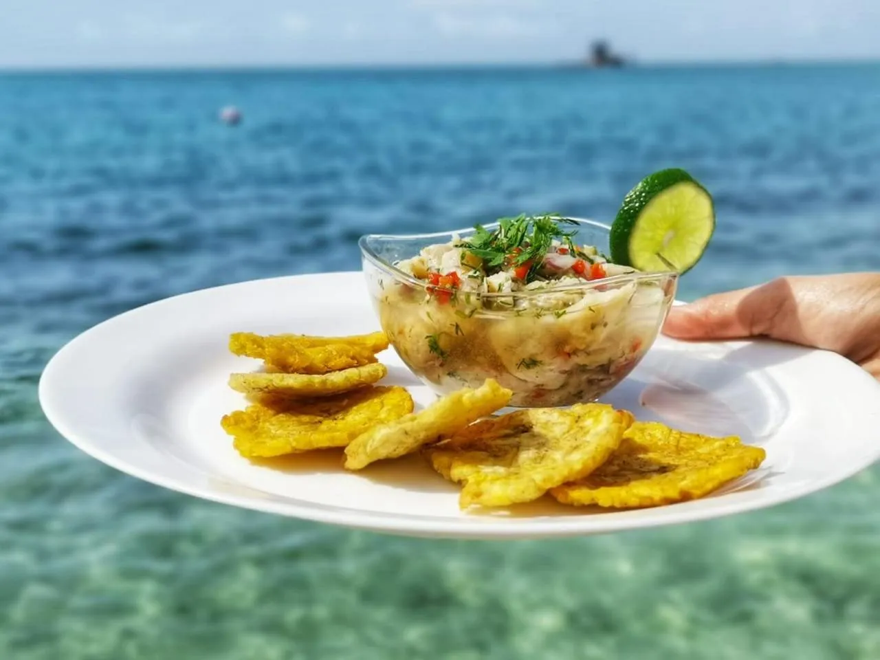 Food and drinks in Rosario EcoHotel - Islas del Rosario