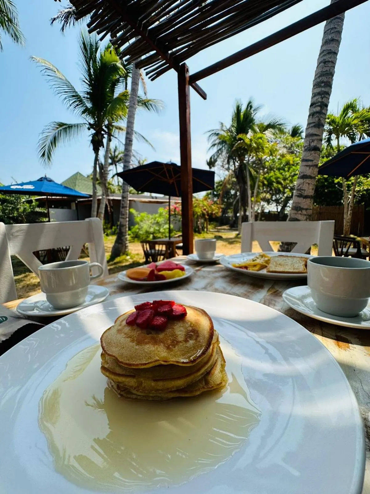 Patio in Rosario EcoHotel - Islas del Rosario
