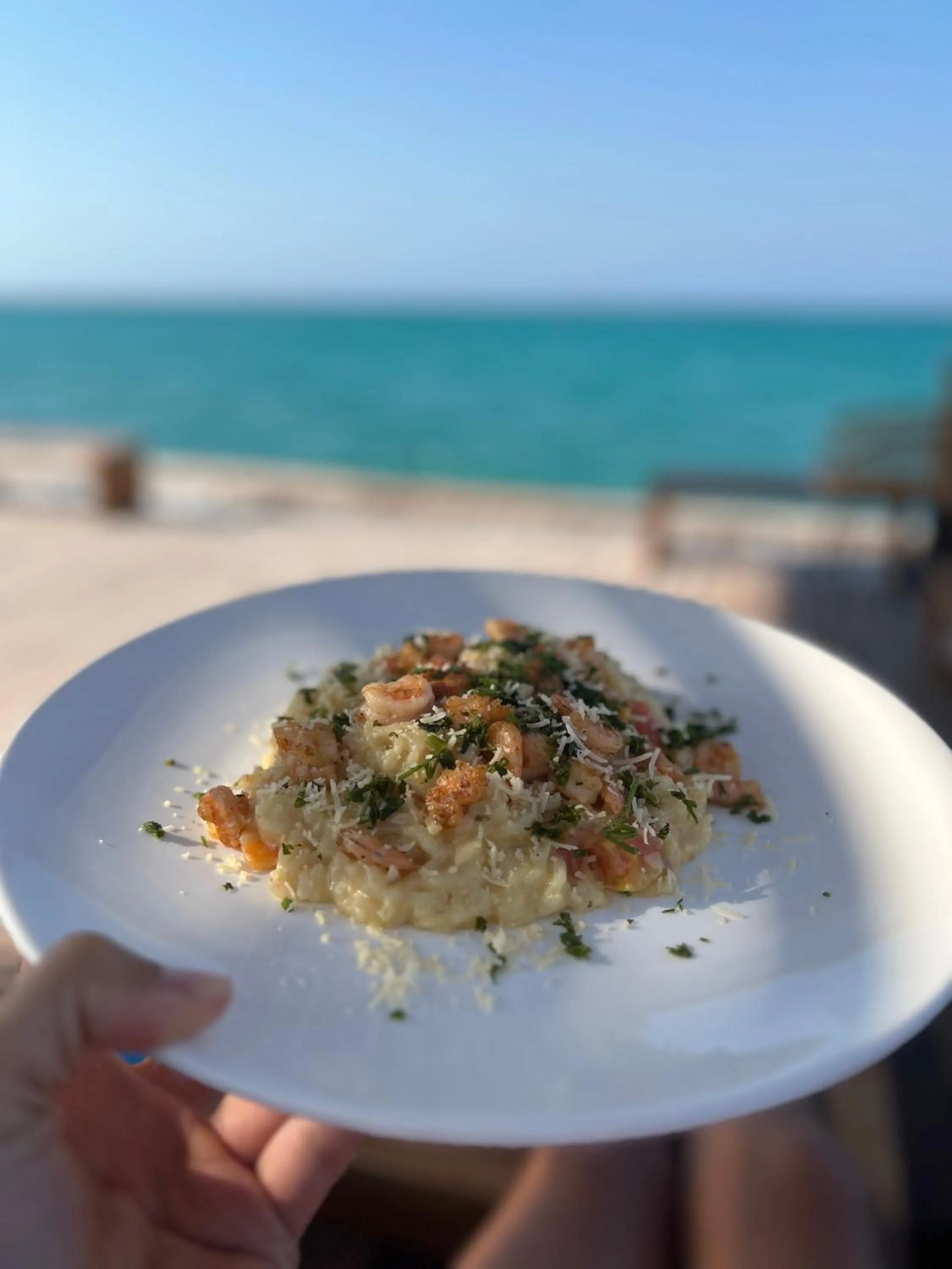 Food close-up in Rosario EcoHotel - Islas del Rosario