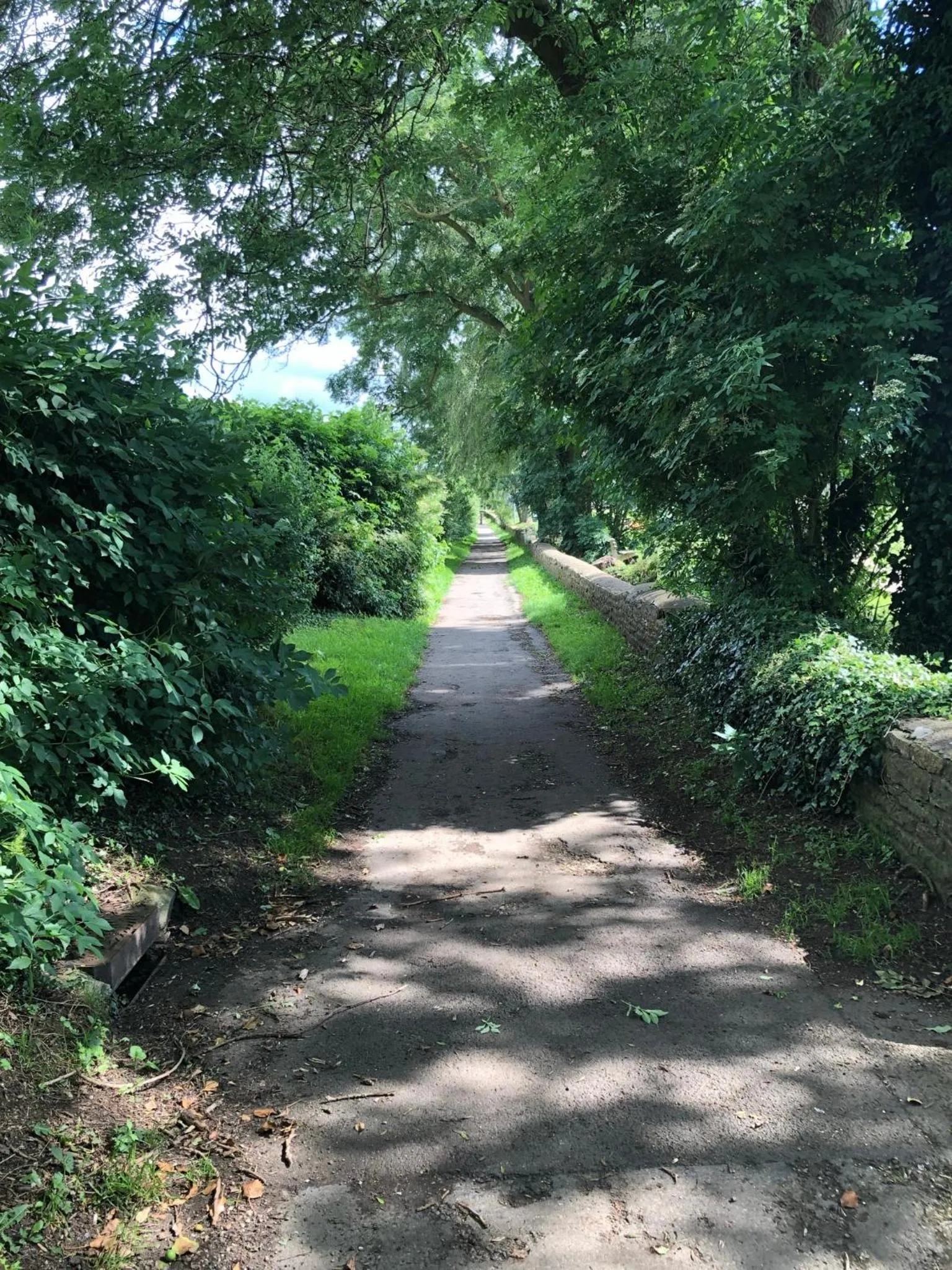 Natural landscape in Cornerways B&B