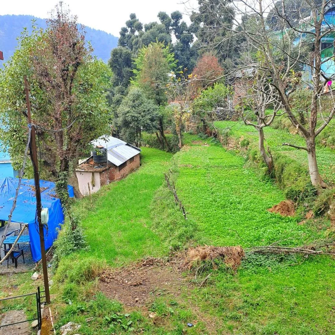 Garden in Sunrise House