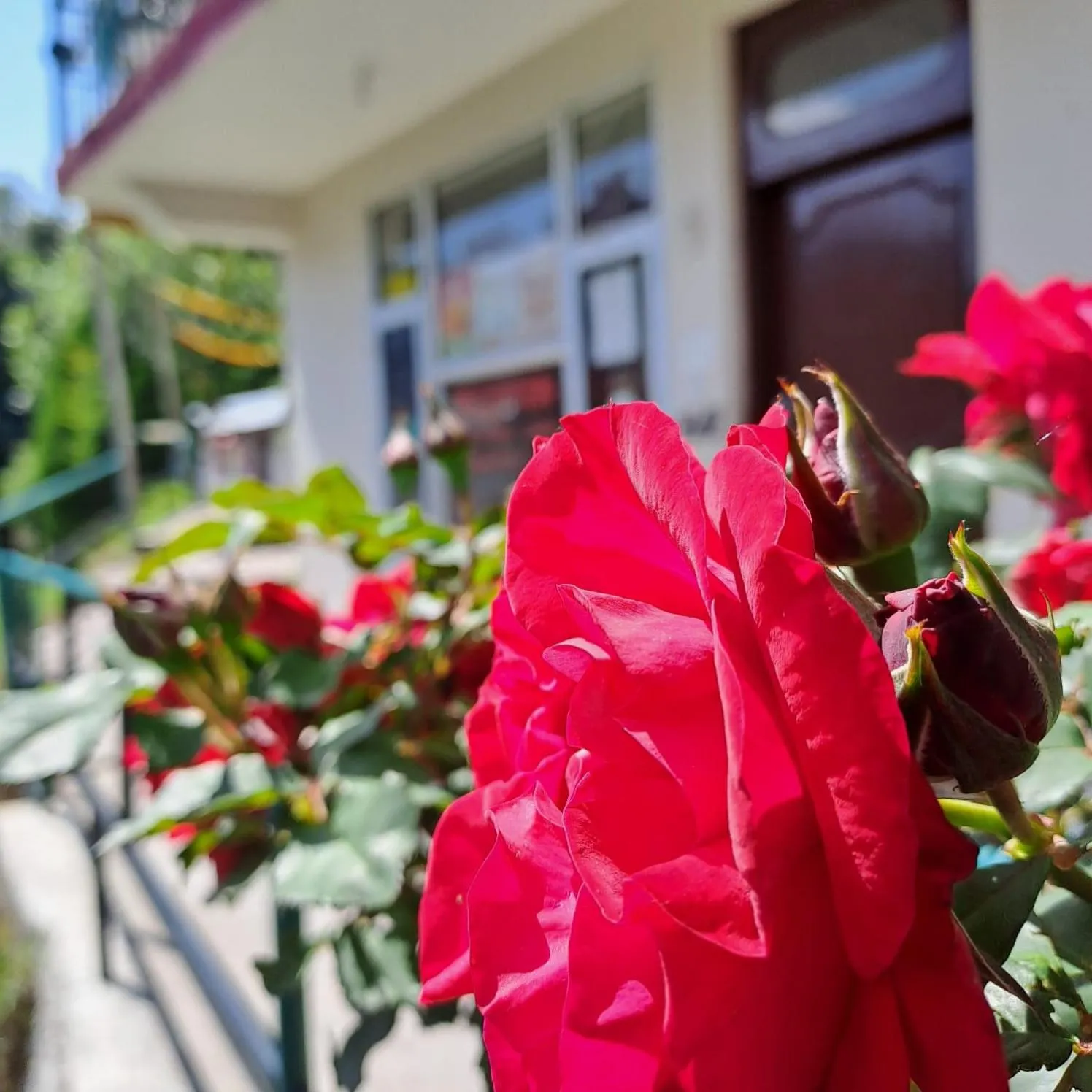 Text overlay in Sunrise House