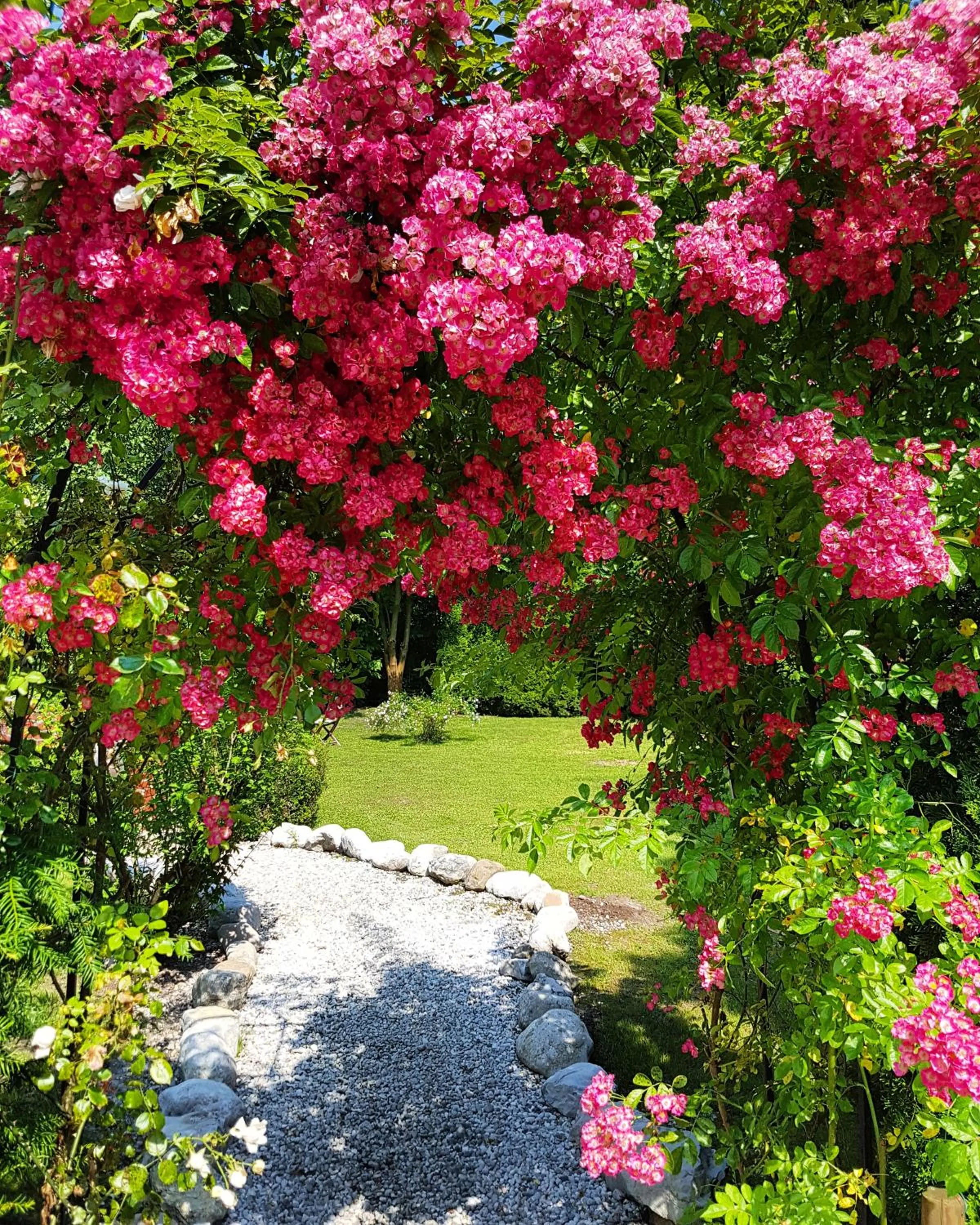 Garden in Hotel Via Roma