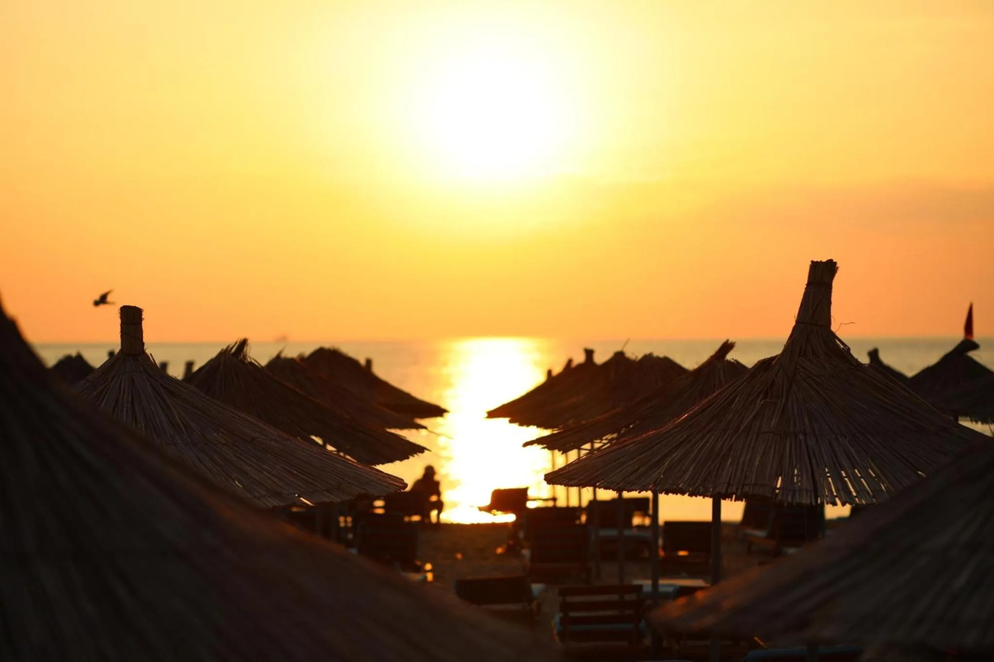 Beach in Marbella Beach Hotel