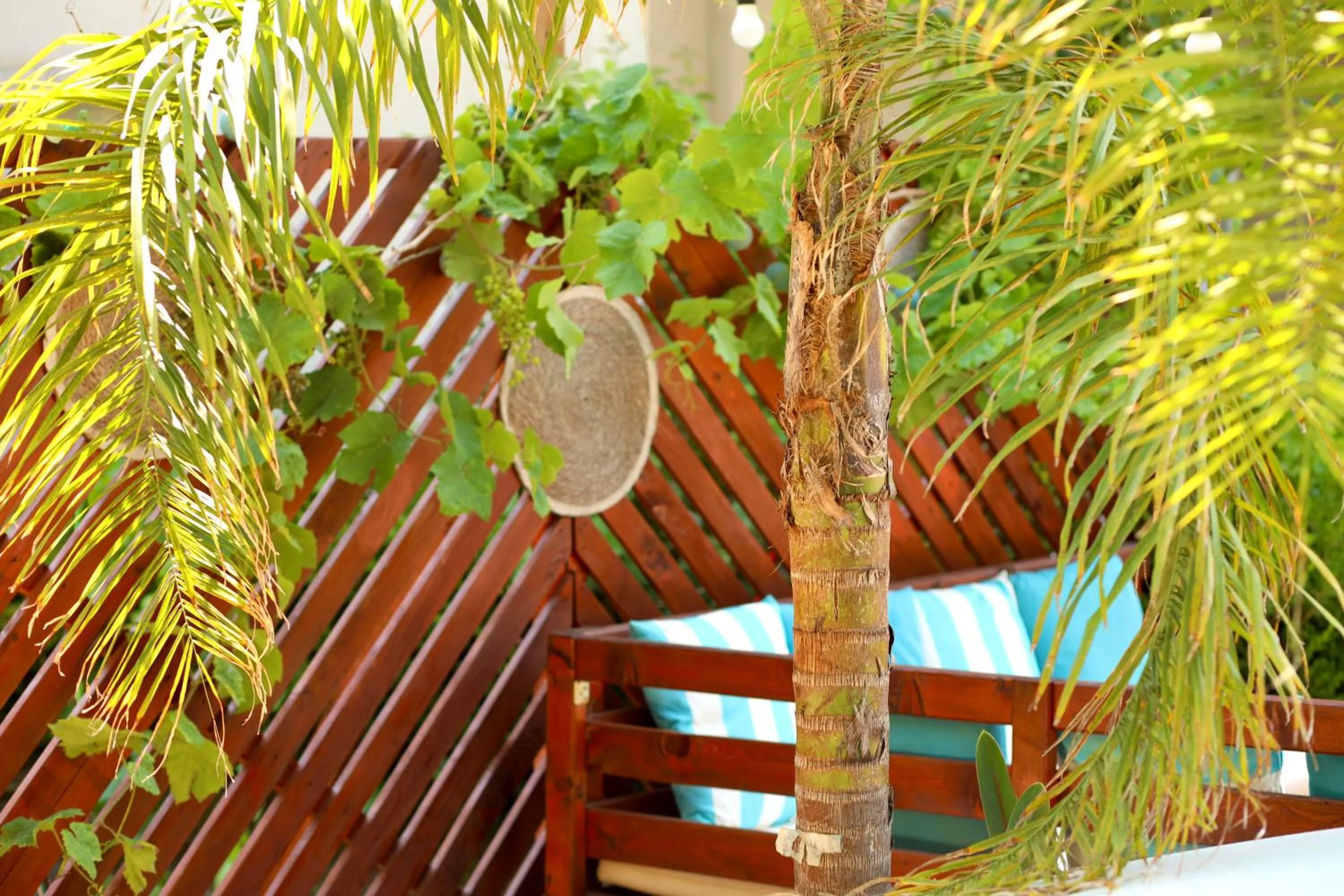 Swimming pool in Marbella Beach Hotel