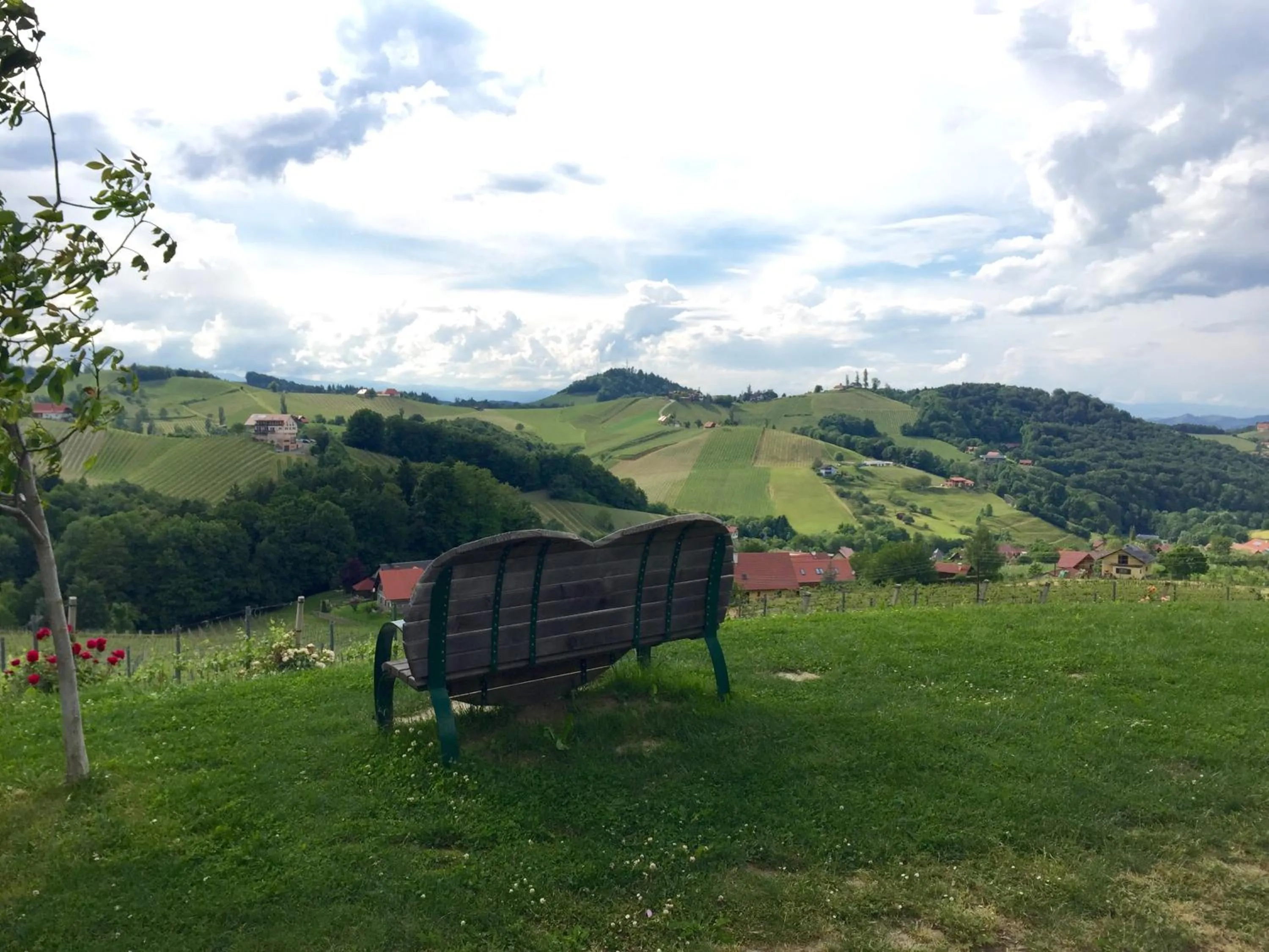 Natural landscape in Hotel am Marktplatz - Landgasthof Wratschko - Gamlitz