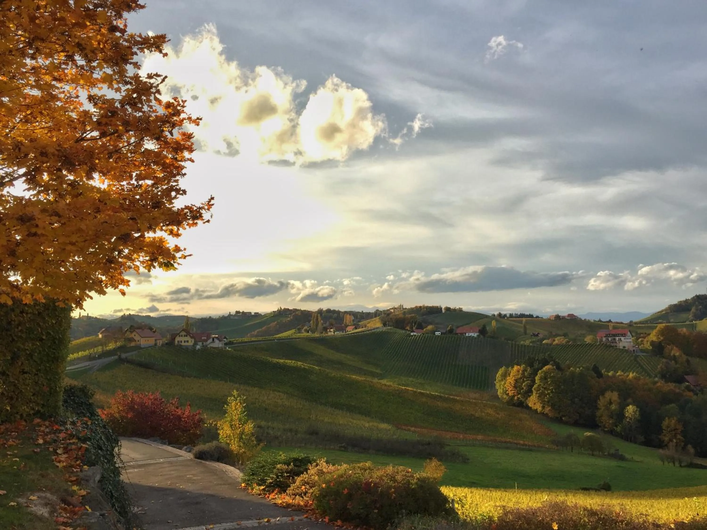 Natural landscape in Hotel am Marktplatz - Landgasthof Wratschko - Gamlitz