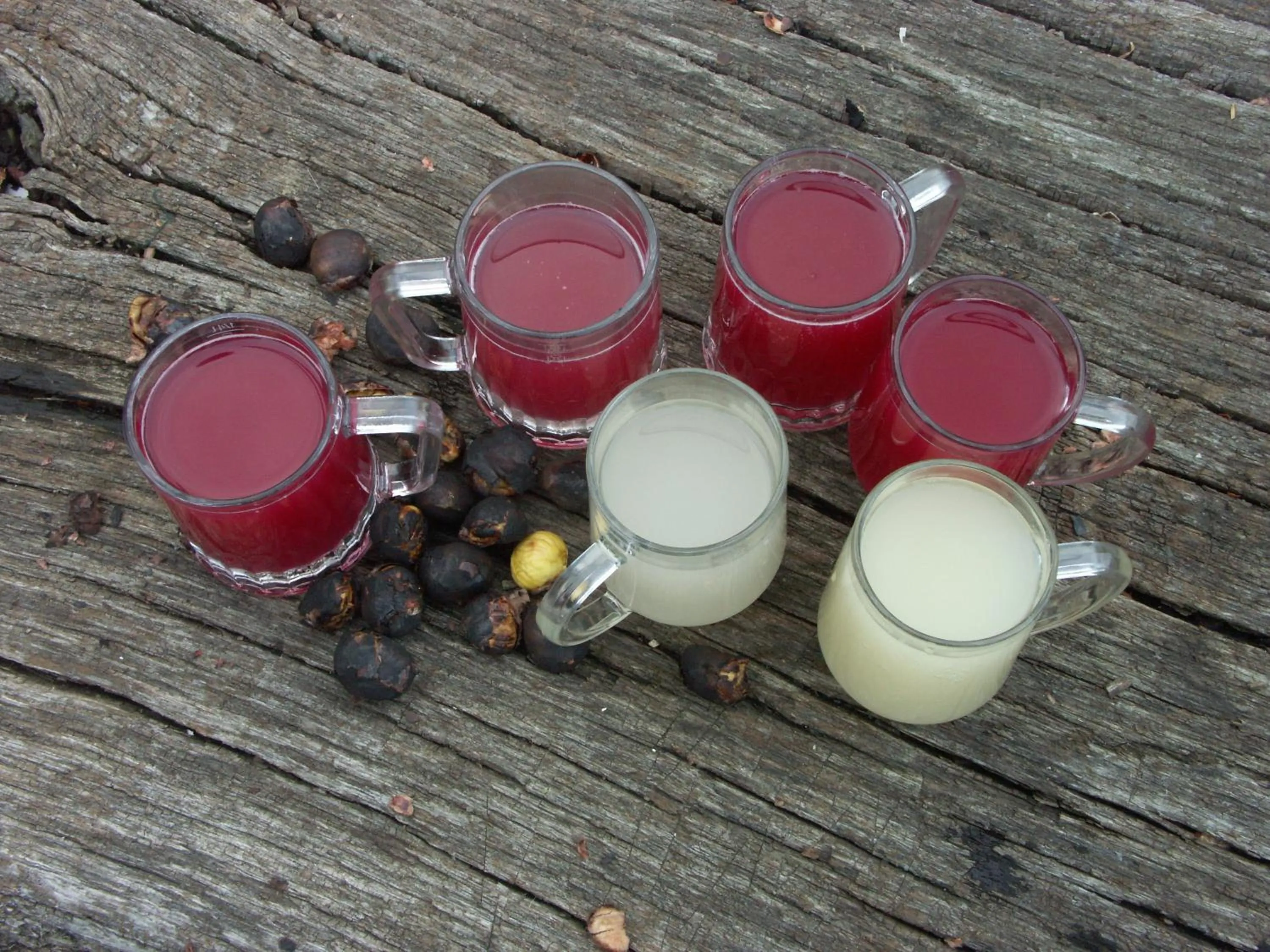 Food and drinks in Hotel am Marktplatz - Landgasthof Wratschko - Gamlitz