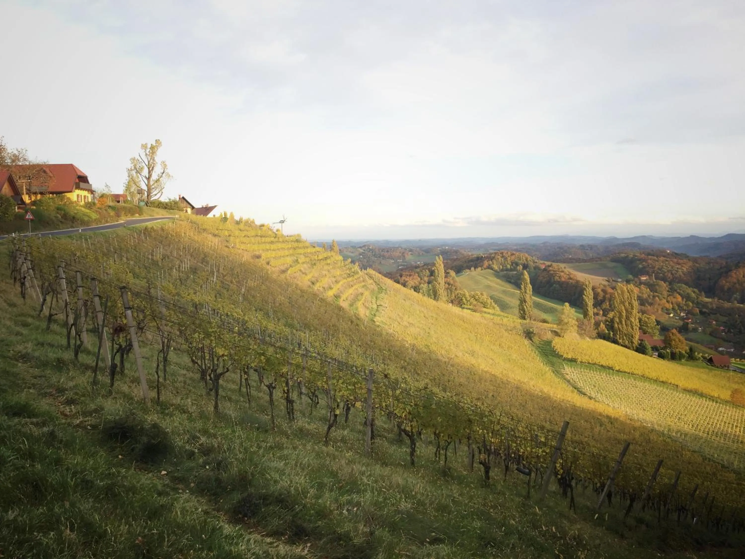 Hiking in Hotel am Marktplatz - Landgasthof Wratschko - Gamlitz