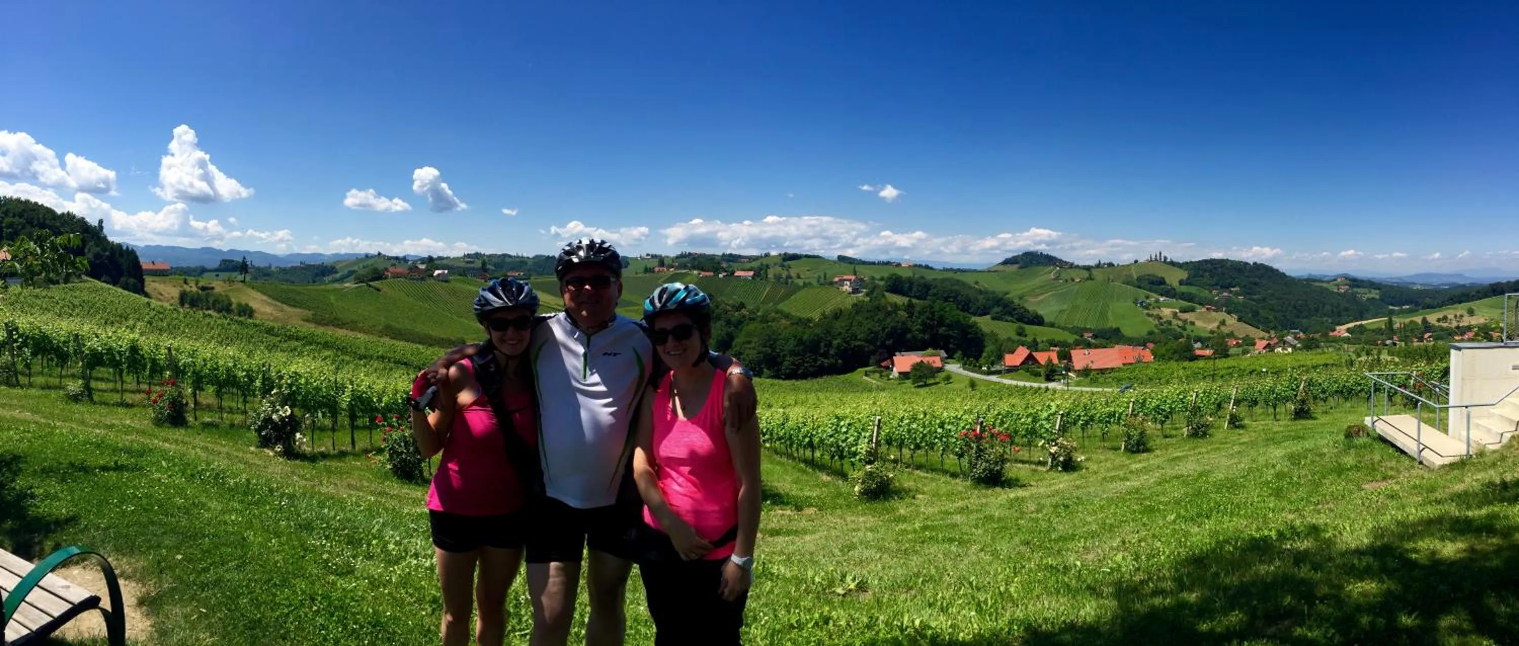 Natural landscape in Hotel am Marktplatz - Landgasthof Wratschko - Gamlitz