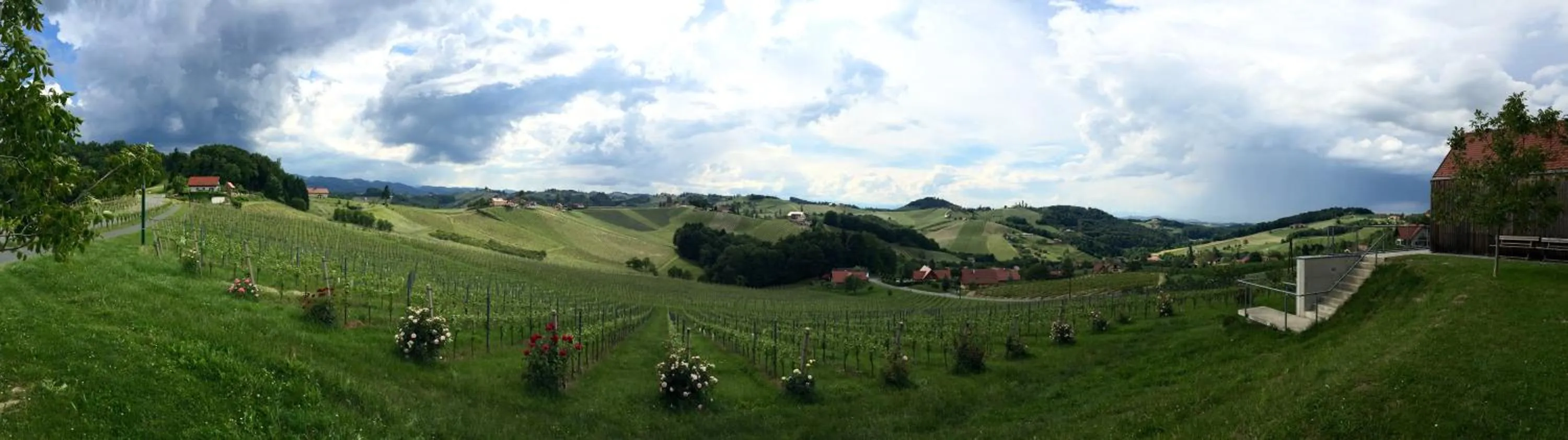 Natural landscape in Hotel am Marktplatz - Landgasthof Wratschko - Gamlitz