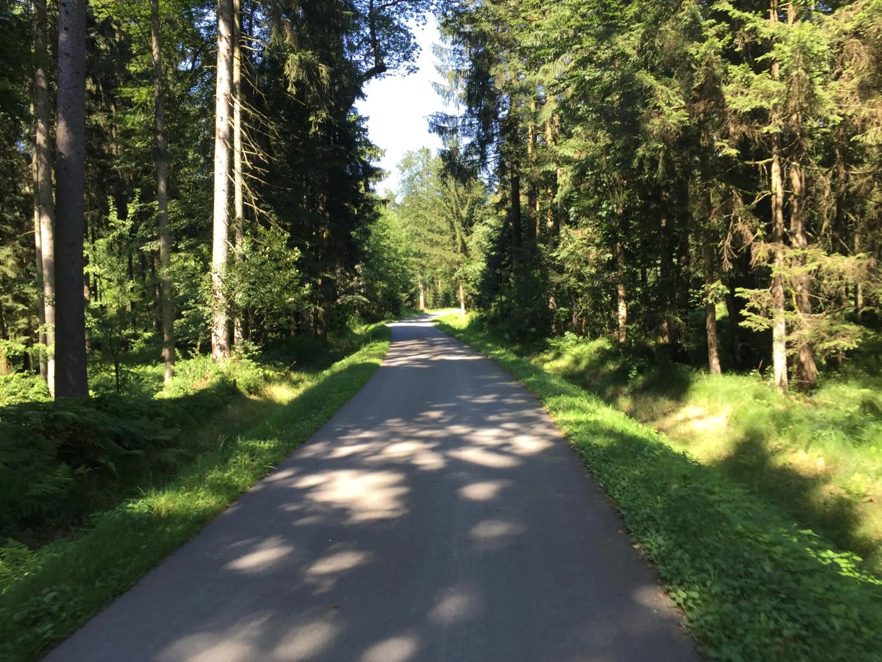 Natural landscape in Hotel am Marktplatz - Landgasthof Wratschko - Gamlitz