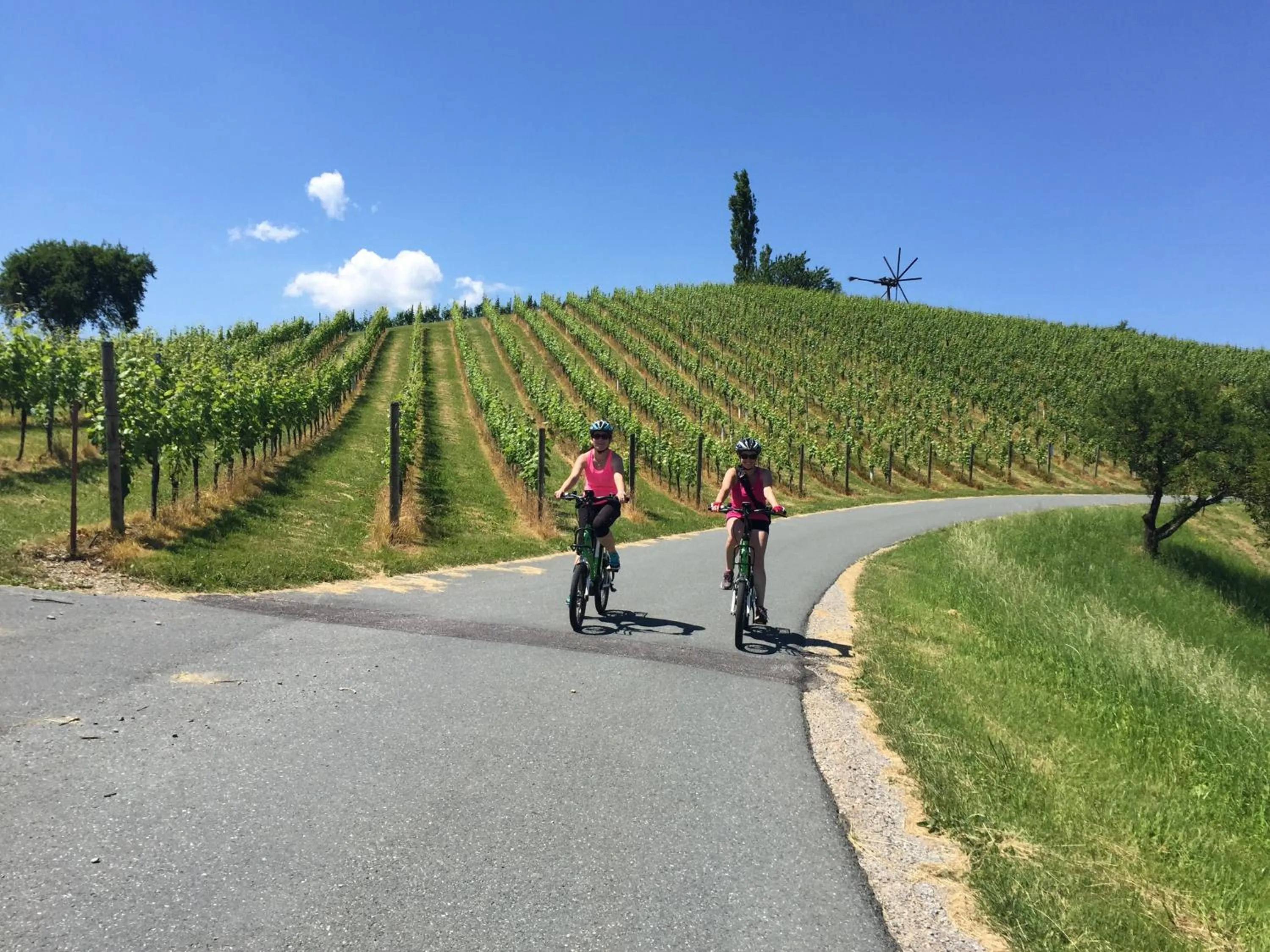 Natural landscape in Hotel am Marktplatz - Landgasthof Wratschko - Gamlitz