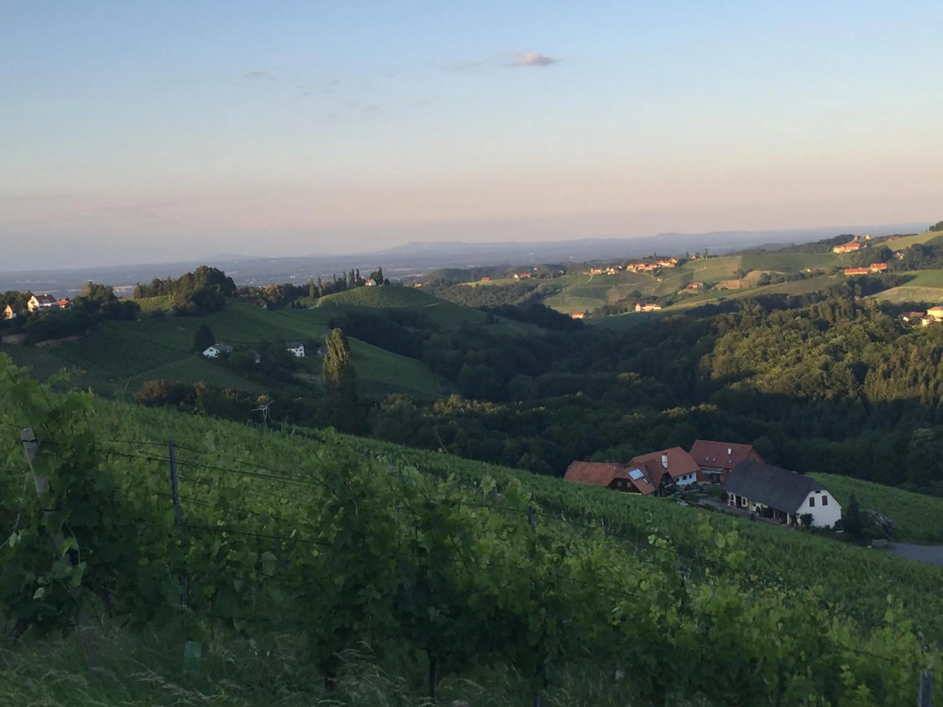 Natural landscape in Hotel am Marktplatz - Landgasthof Wratschko - Gamlitz