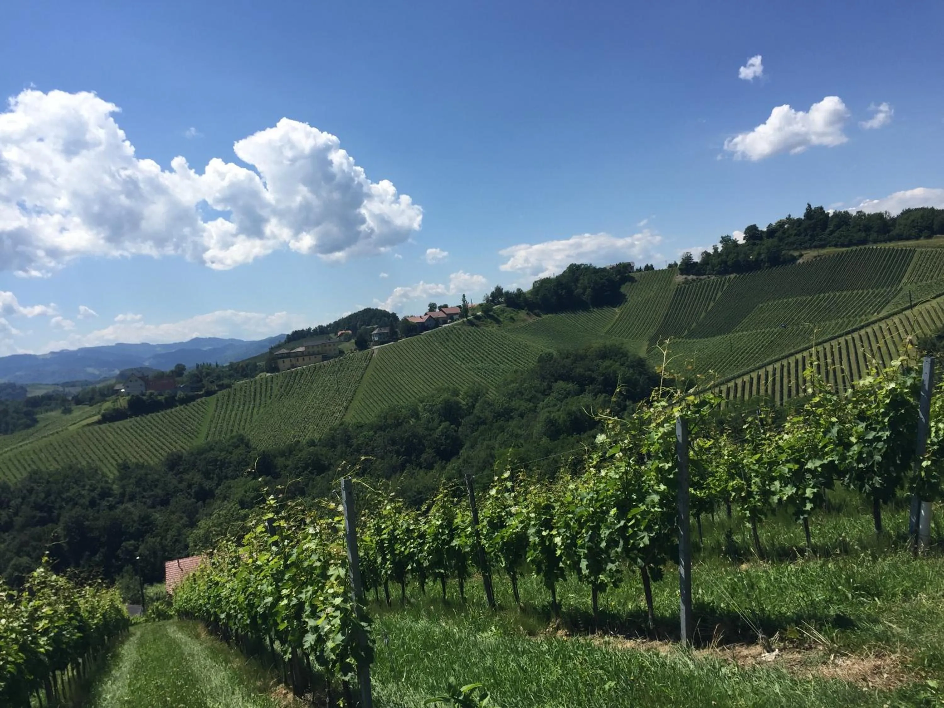 Natural landscape in Hotel am Marktplatz - Landgasthof Wratschko - Gamlitz