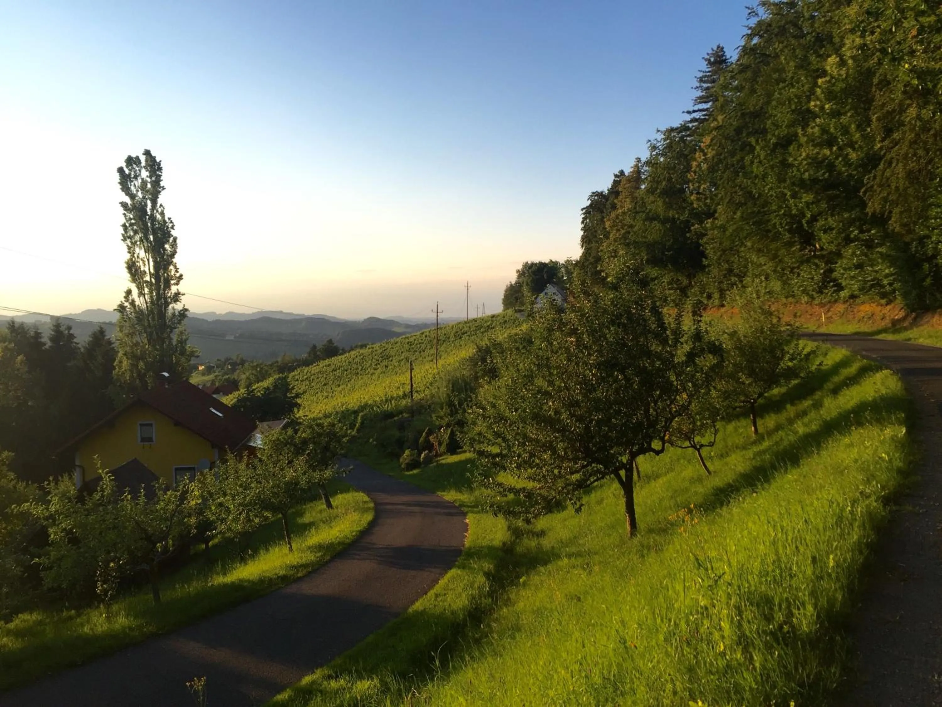 Natural landscape in Hotel am Marktplatz - Landgasthof Wratschko - Gamlitz