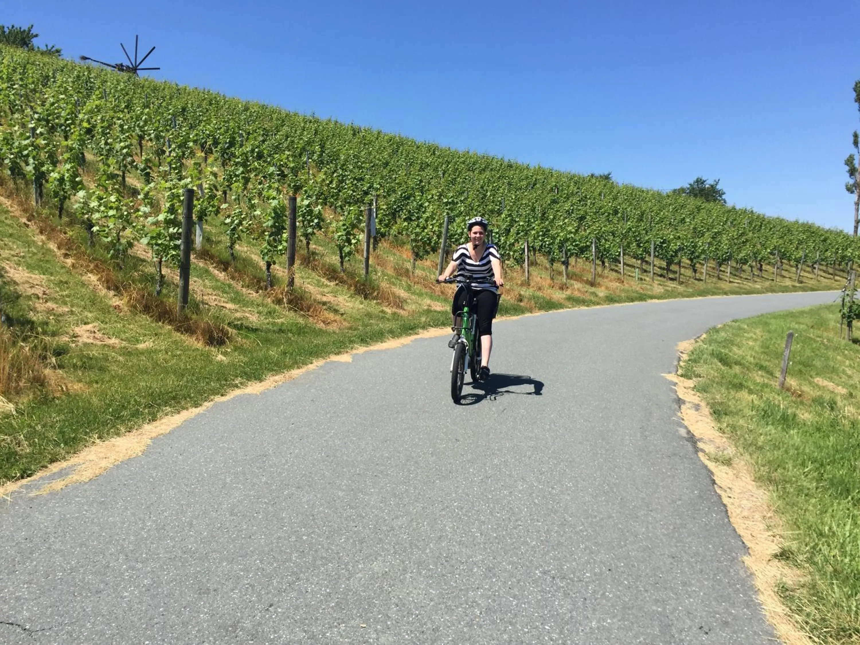 Natural landscape in Hotel am Marktplatz - Landgasthof Wratschko - Gamlitz