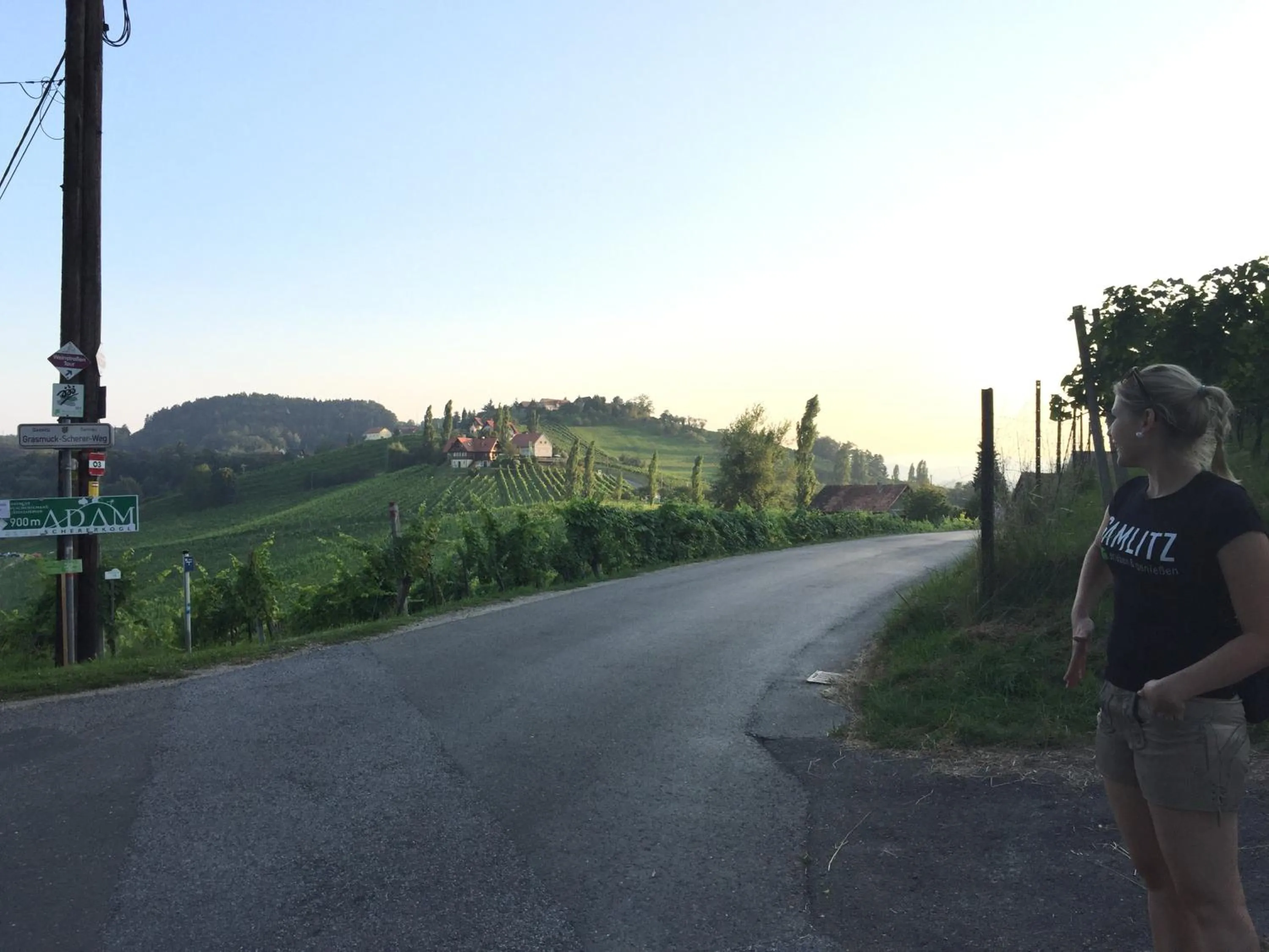 Natural landscape in Hotel am Marktplatz - Landgasthof Wratschko - Gamlitz
