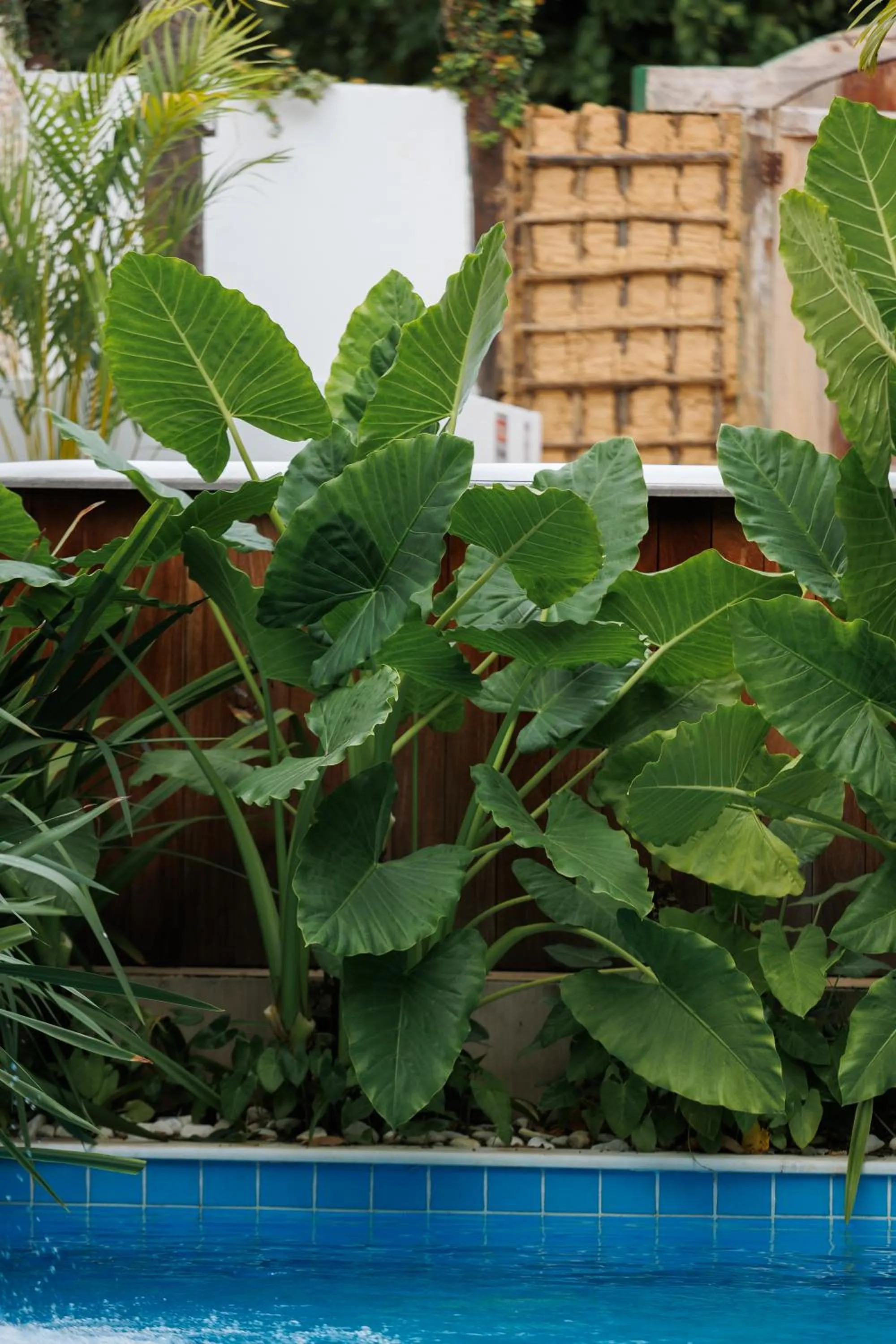 Pousada Bem Te Vi Trancoso