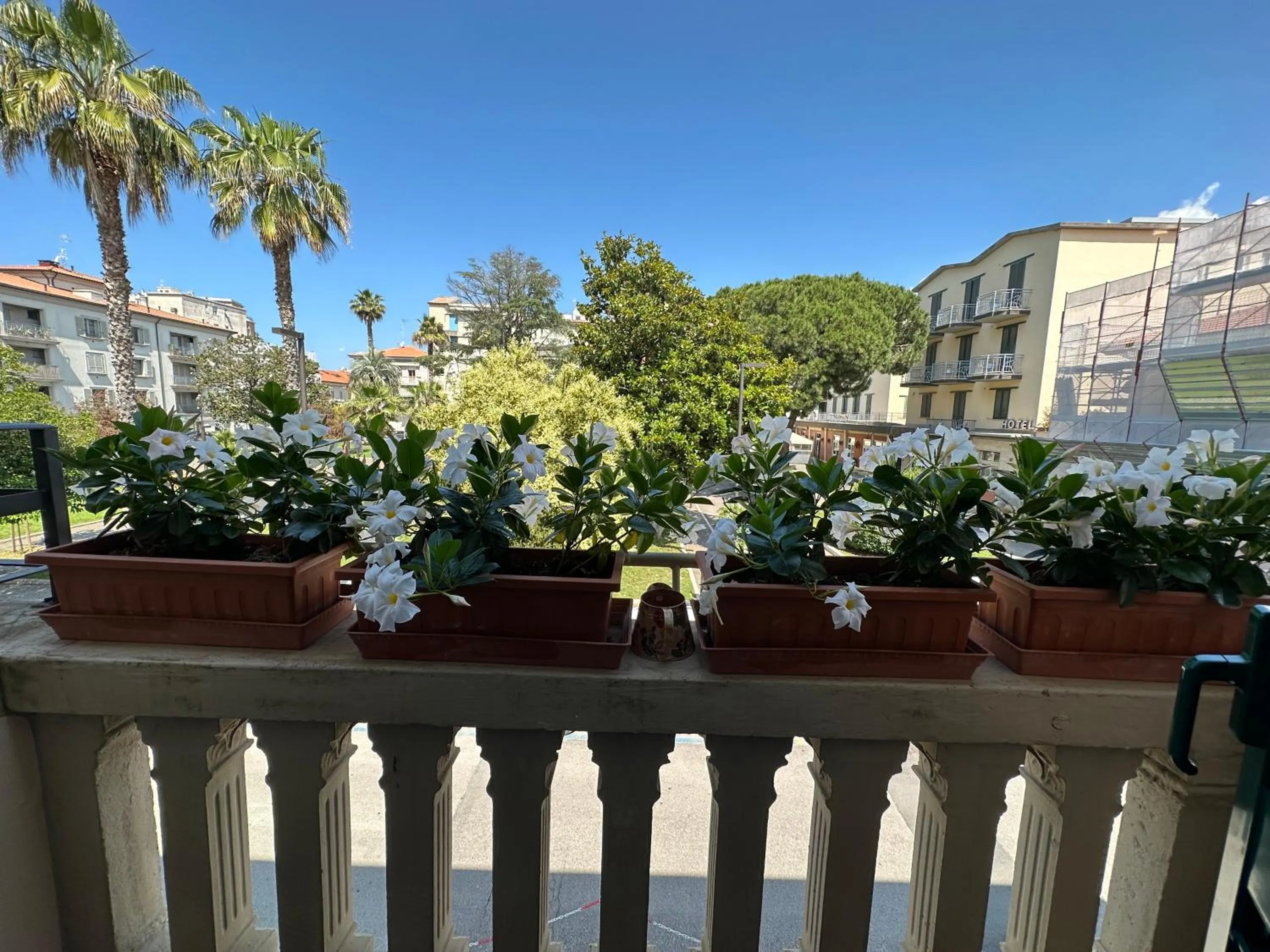 City view in Domus Socolatae Residenza d'Epoca Charming B&B - Adults Only