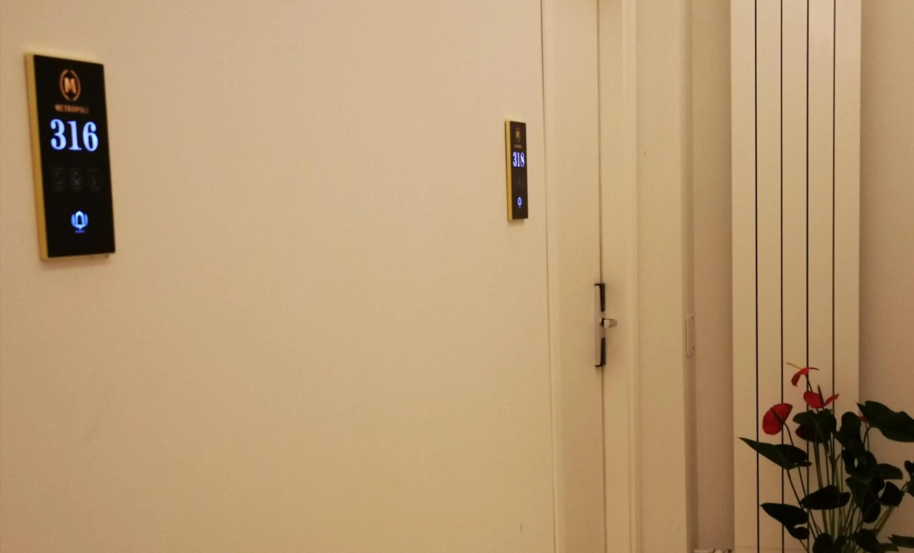 Winter in CSI Group - Hotel Metropoli