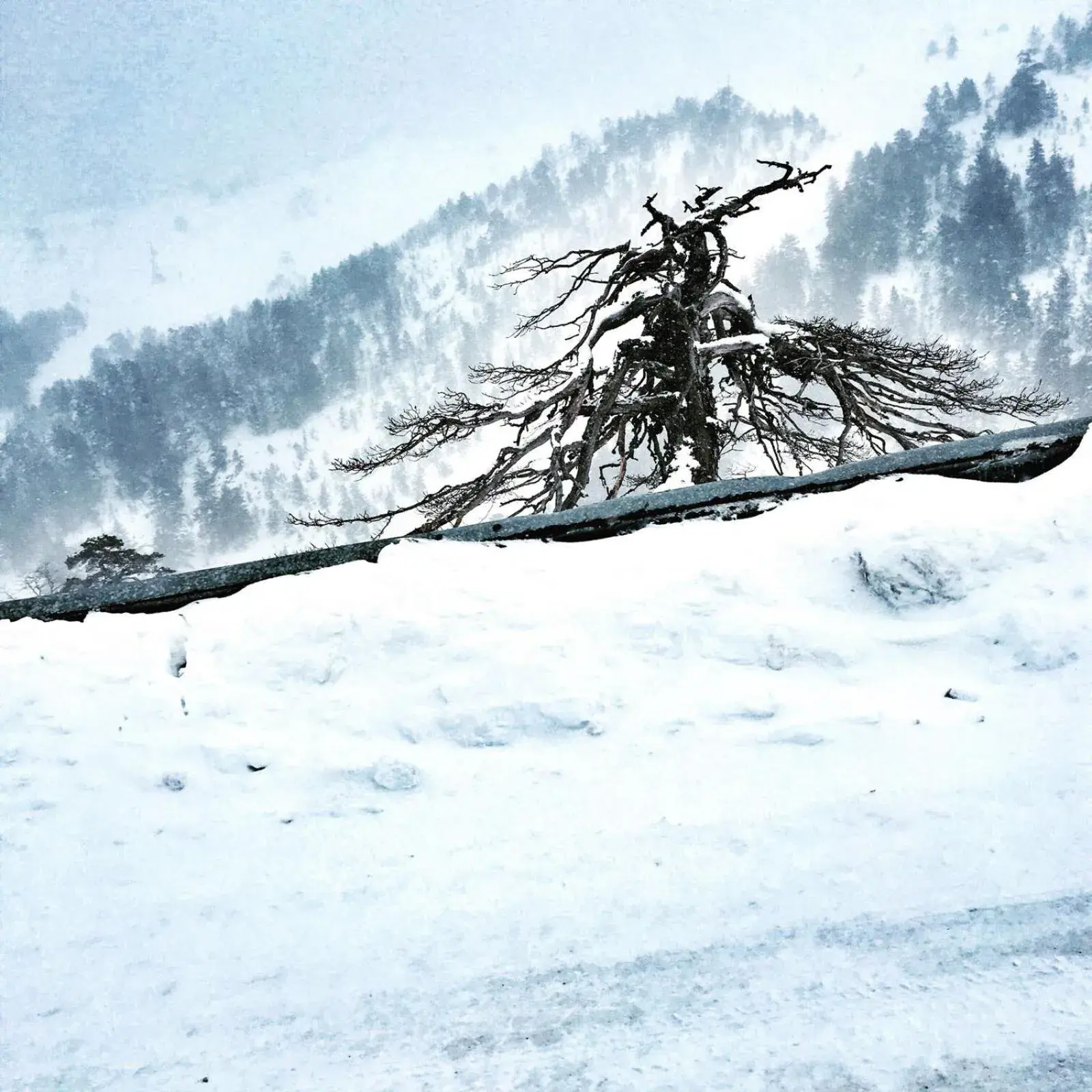 Property building in Elifim Resort Hotel Property building in Elifim Resort Hotel