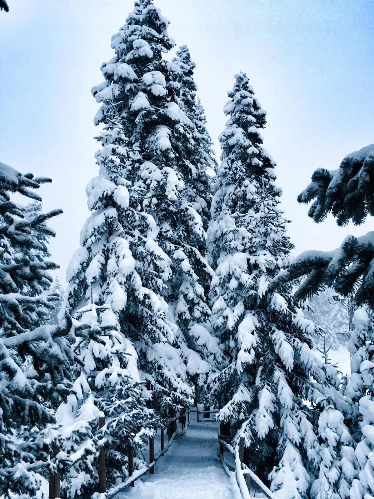 Property building in Elifim Resort Hotel Property building in Elifim Resort Hotel