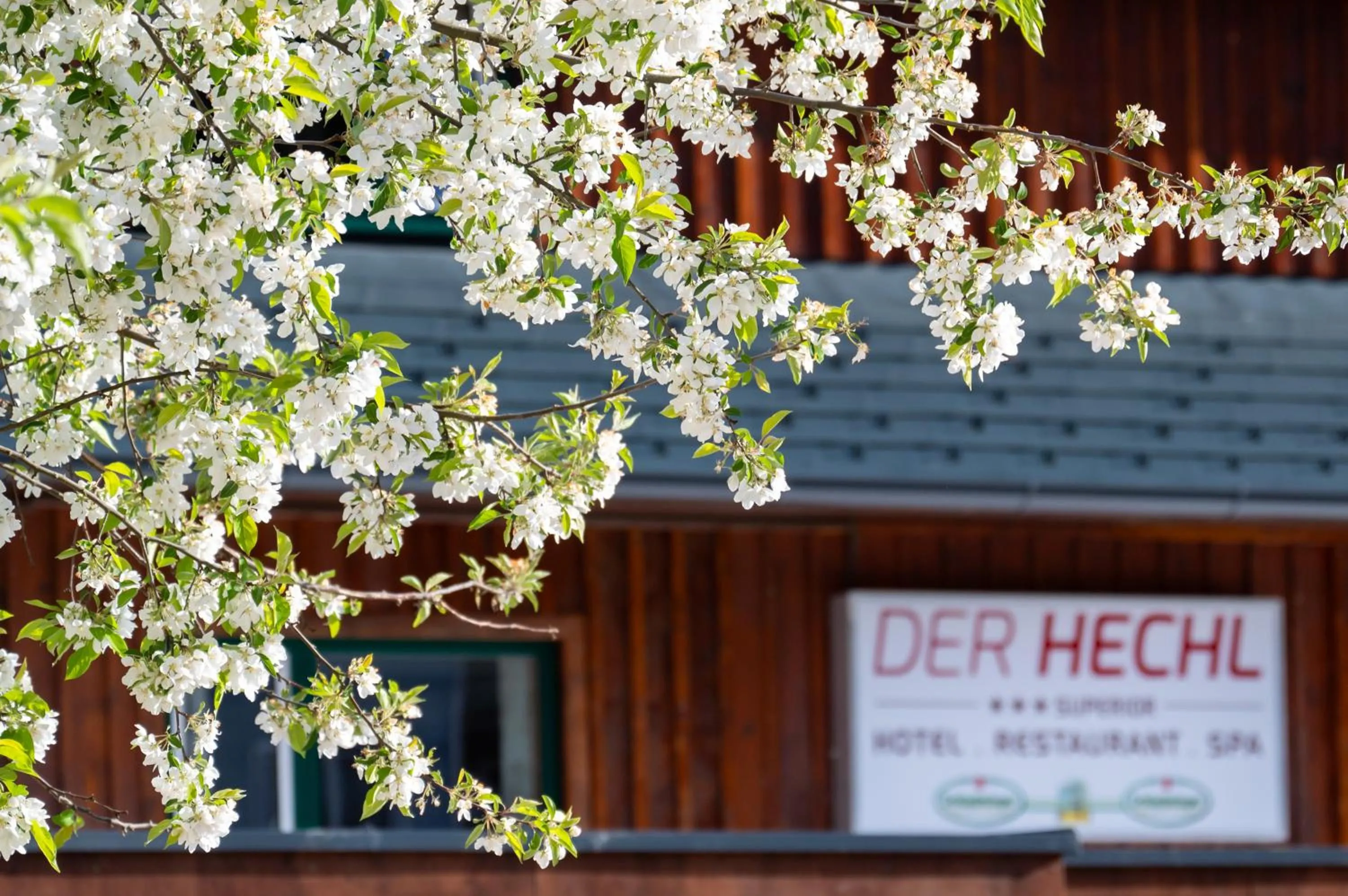 Property building in Der Hechl