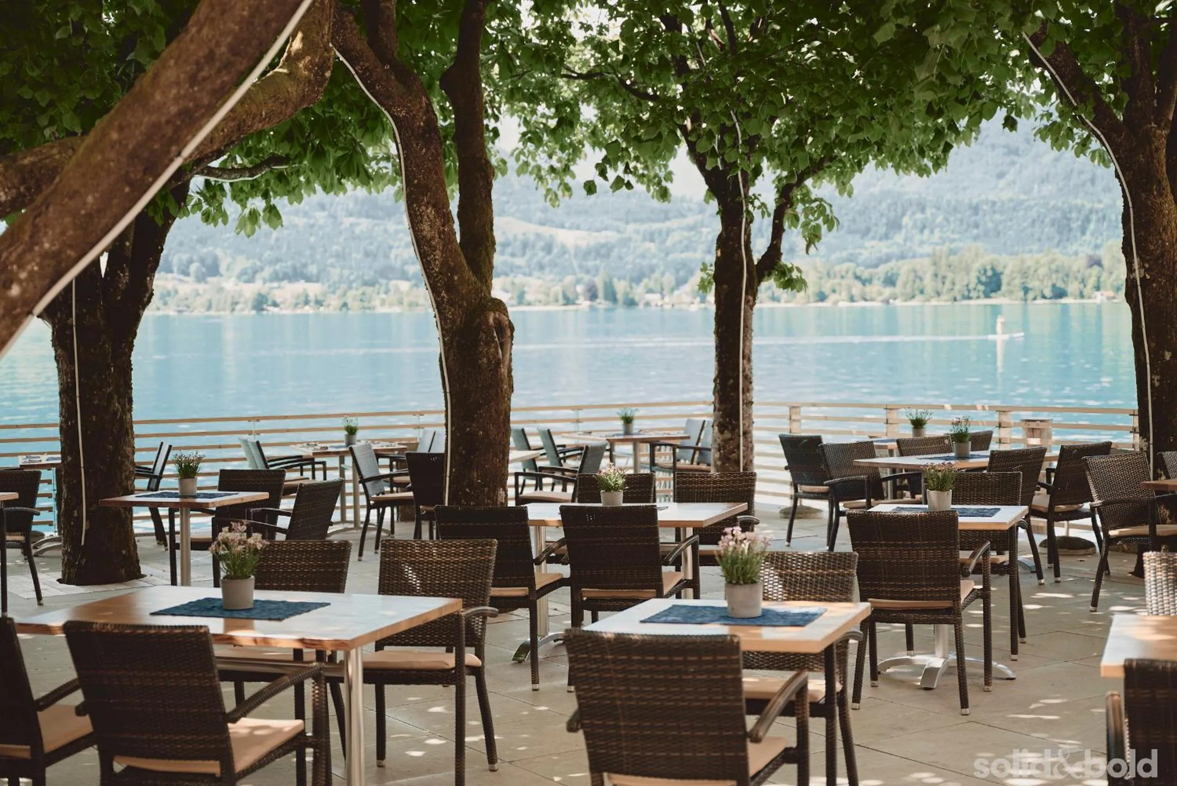 Restaurant/places to eat in Hotel Weisser Hirsch