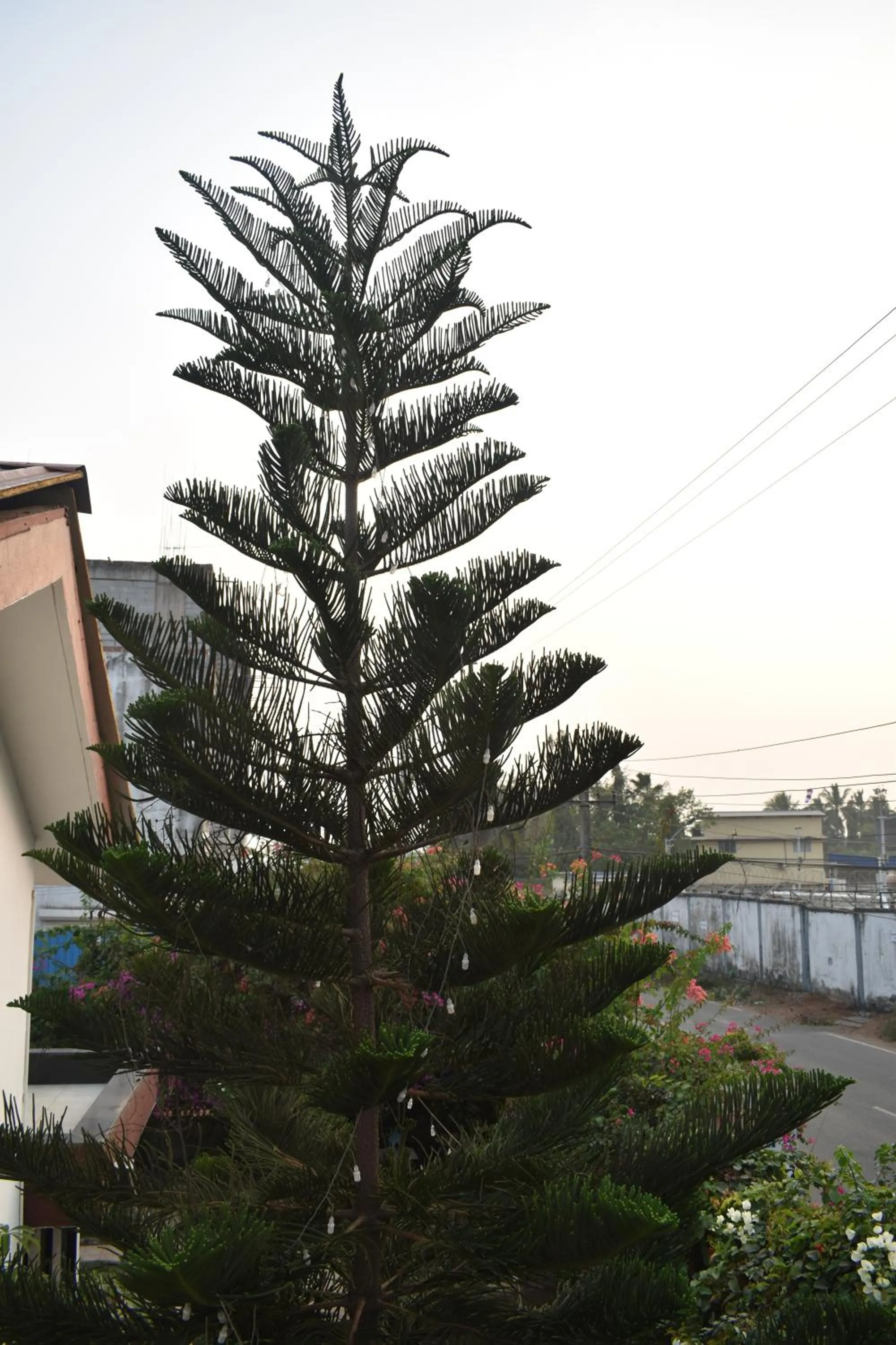 Natural landscape in Athi Resorts