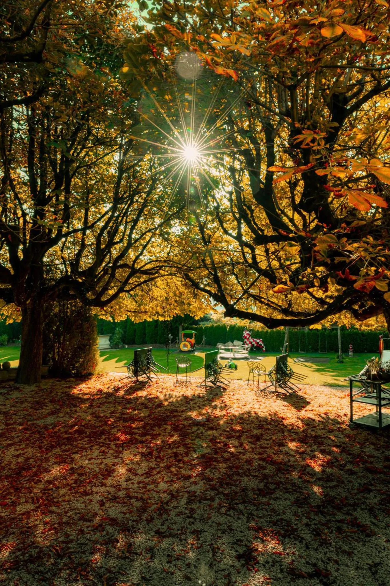 Garden in Gartenhotel Maria Theresia