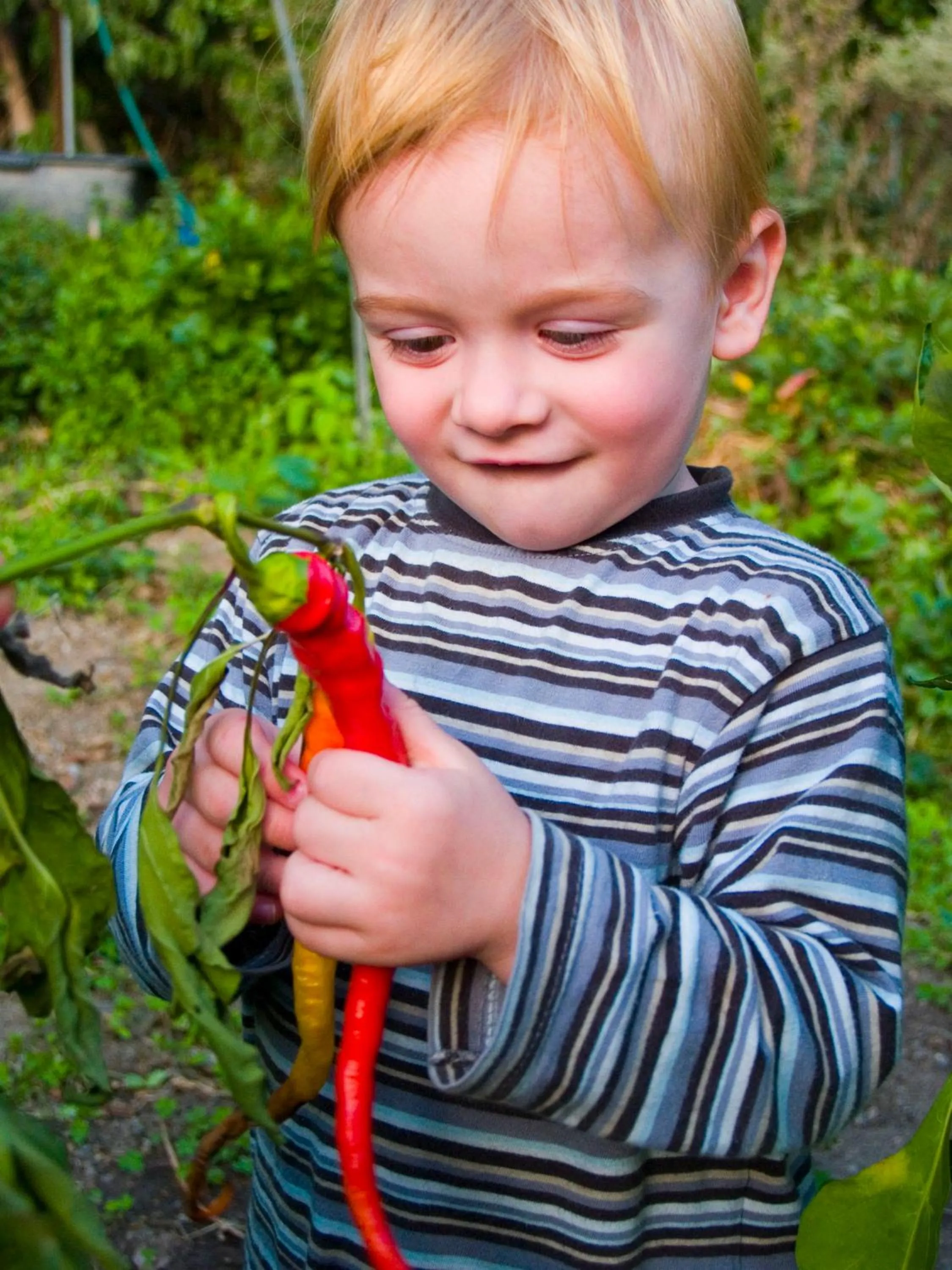 Breakfast in Gartenhotel & Weingut Pfeffel Dürnstein